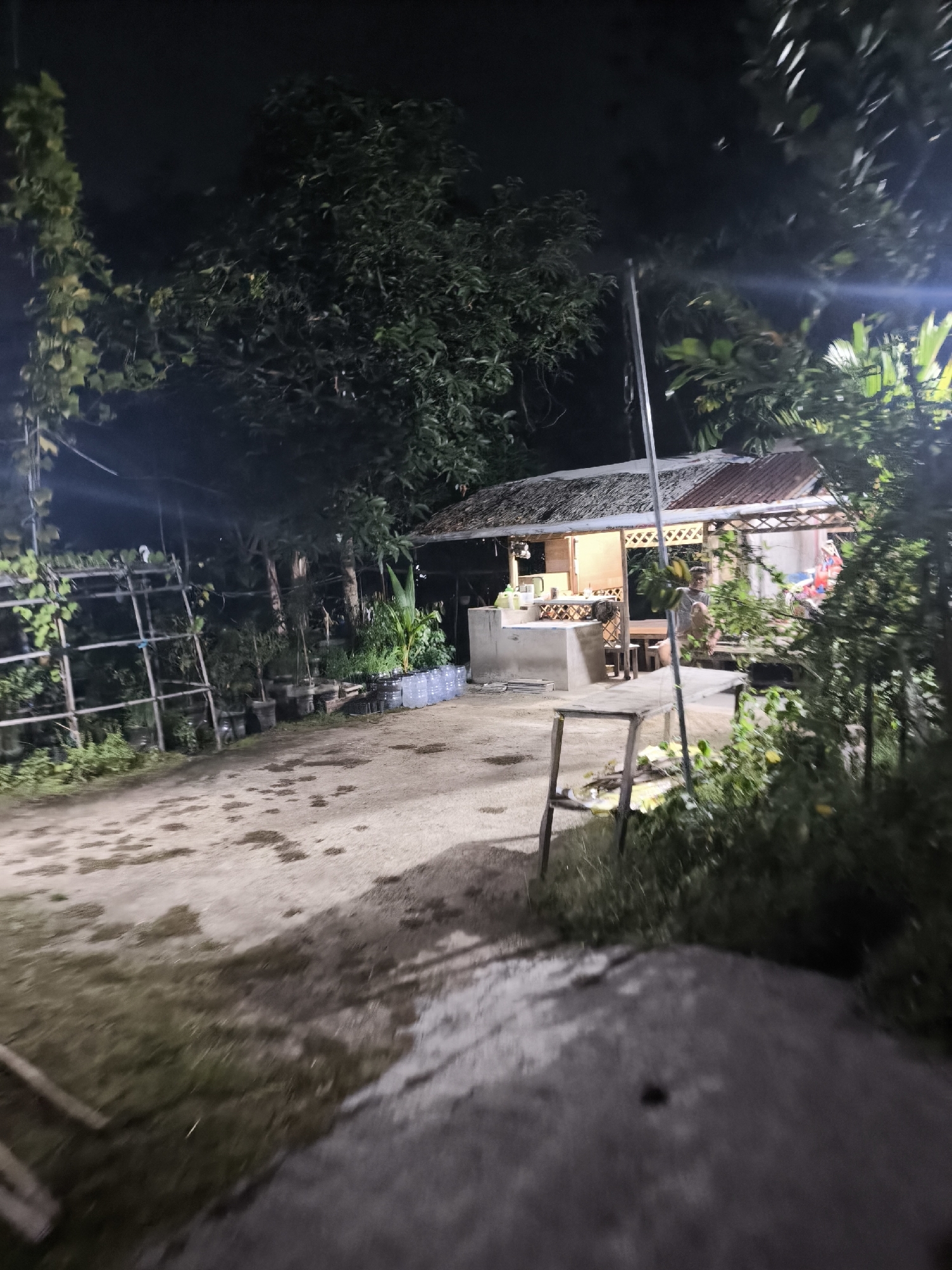 The image captures a nighttime outdoor scene in Cilegon, Indonesia, depicting a small open-air food stall or eatery. The stall, constructed with a thatched roof and wooden accents, is illuminated by artificial lighting, casting a warm glow on the food preparation area. A person is seated at the counter, seemingly engaged with the offerings. Surrounding the stall is a dirt or gravel ground, wet in patches, suggesting recent rain or watering. Lush green vegetation and trees are visible, indicating a tropical or subtropical environment, common in the region. Various potted plants and what appear to be water bottles are arranged near the stall. A simple wooden structure resembling a table or bench is positioned in the foreground, partly obscured by foliage. The overall atmosphere is rustic and informal.