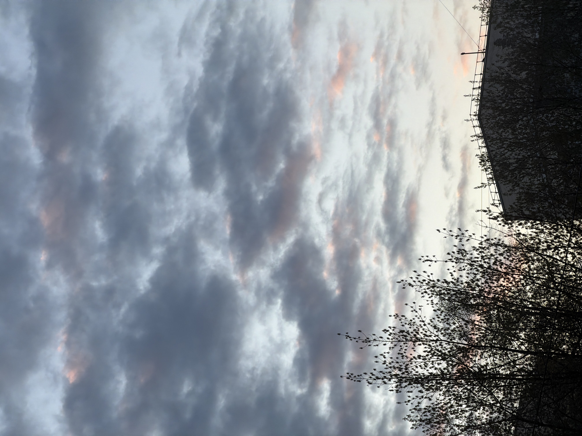The image depicts a sky with gray and white clouds, some tinged with pink, likely at sunset. Silhouetted in the foreground are tree branches and part of a building's edge. The location may be Moscow, Russia, though there is no direct evidence in the image to confirm this. There are no people visible. The overall scene conveys a sense of dusk or dawn in an urban environment.