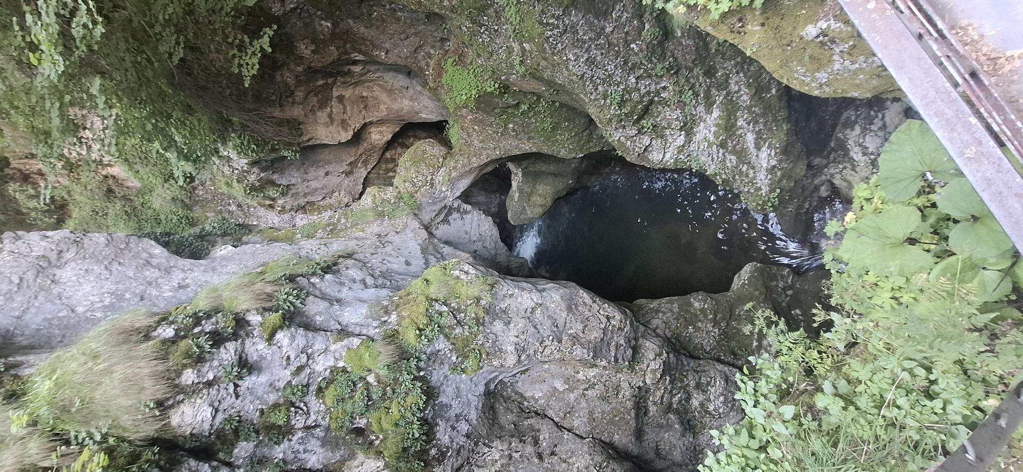 This is a vertical, medium-shot, eye-level photograph of the Trigrad Gorge in Trigrad, Bulgaria. The gorge is characterized by steep, grey, rocky walls covered in moss and vegetation. A dark, clear body of water flows through the bottom of the gorge, forming a small pool. The water is partially obscured by the rocks and the dark crevices within the gorge walls. There are no people or animals visible in the image. The overall scene is one of natural beauty and rugged terrain.