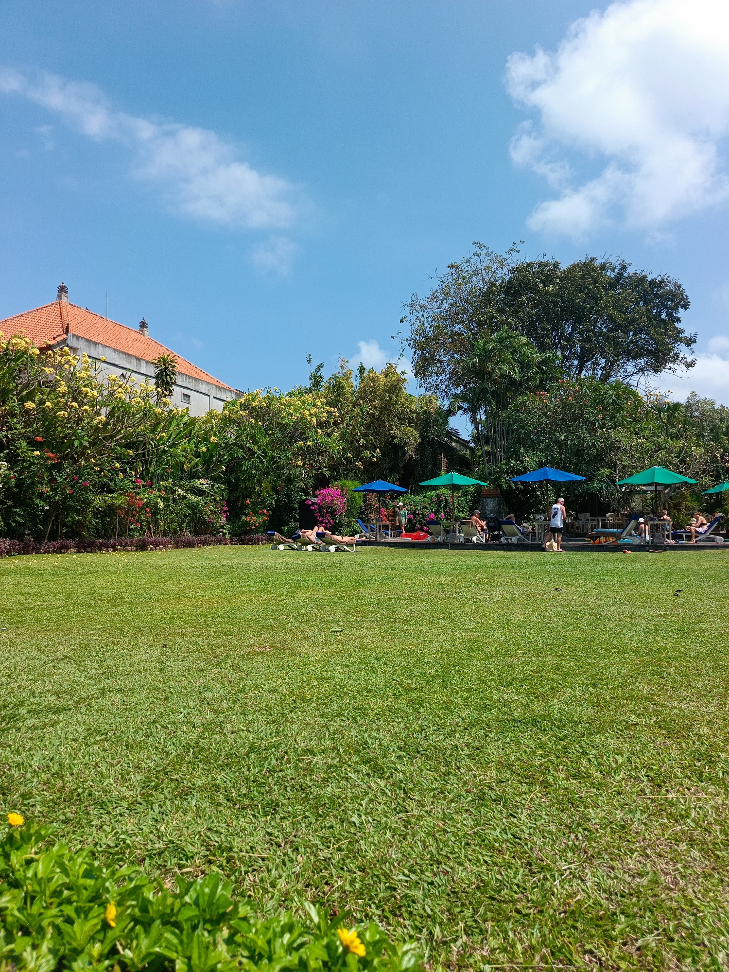 A wide shot captures a vibrant tropical resort setting in Kuta, Indonesia, under a bright blue sky dotted with fluffy white clouds. In the foreground, a meticulously manicured green lawn stretches across the frame, with a blurred row of lush green bushes and yellow flowers at the very bottom edge. In the mid-ground, several lounge chairs are scattered across the grass, some occupied by people sunbathing or relaxing. Colorful umbrellas in shades of blue and green provide shade over some of the seating areas. Beyond the lawn and loungers, a dense line of tropical foliage and trees flourishes, punctuated by flowering plants in yellow and pink. A building with an orange tiled roof and light-colored walls is visible behind the greenery on the left side of the image. The overall atmosphere is one of leisure and relaxation in a tropical paradise.