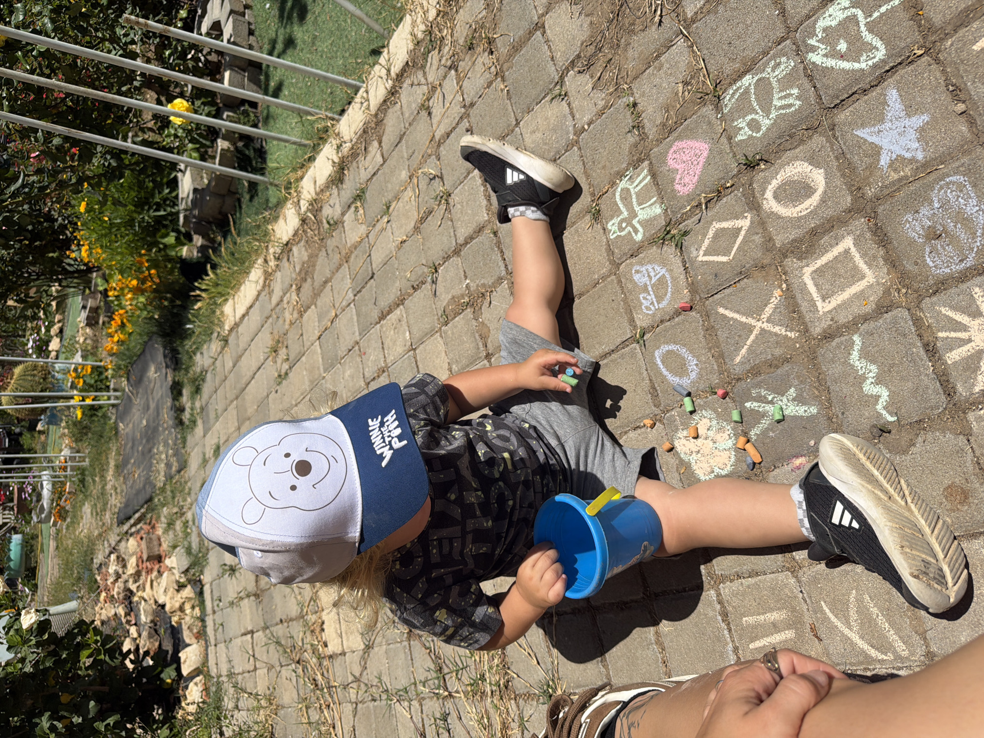 A young child is seated on a paved outdoor surface, engrossed in drawing with chalk. The child is wearing a blue and white baseball cap featuring a "Winnie the Pooh" character on the front and the text "WINNIE THE POOH" on the side. They have light-colored hair and are dressed in a dark patterned t-shirt, grey shorts, and black Adidas sneakers with white soles, identifiable by the three stripes logo. One hand holds a piece of blue chalk, while the other is near a small blue plastic bucket with a yellow handle, which contains sand or small items.
The ground is made of grey interlocking pavers, brightly illuminated by direct sunlight, casting distinct shadows. Numerous pieces of colored chalk (blue, green, orange, pink, white) are scattered around the child. The pavers are extensively decorated with colorful chalk drawings, including a pink heart, a blue star, geometric shapes like circles, squares, diamonds, and 'X's, along with various animal figures such as a bird, a snail, and other creative designs.
In the bottom right corner, a hand and forearm of an adult, adorned with a ring, are visible, suggesting close supervision or participation. The background features a green garden area with lush plants, yellow and orange flowers, and a metal fence or railing. Further back, a pile of bricks or rubble is visible. The scene depicts a bright, sunny day, likely in the morning or early afternoon, in an outdoor residential setting. The overall impression is one of playful activity. The location is Kiryat Bialik, Israel.