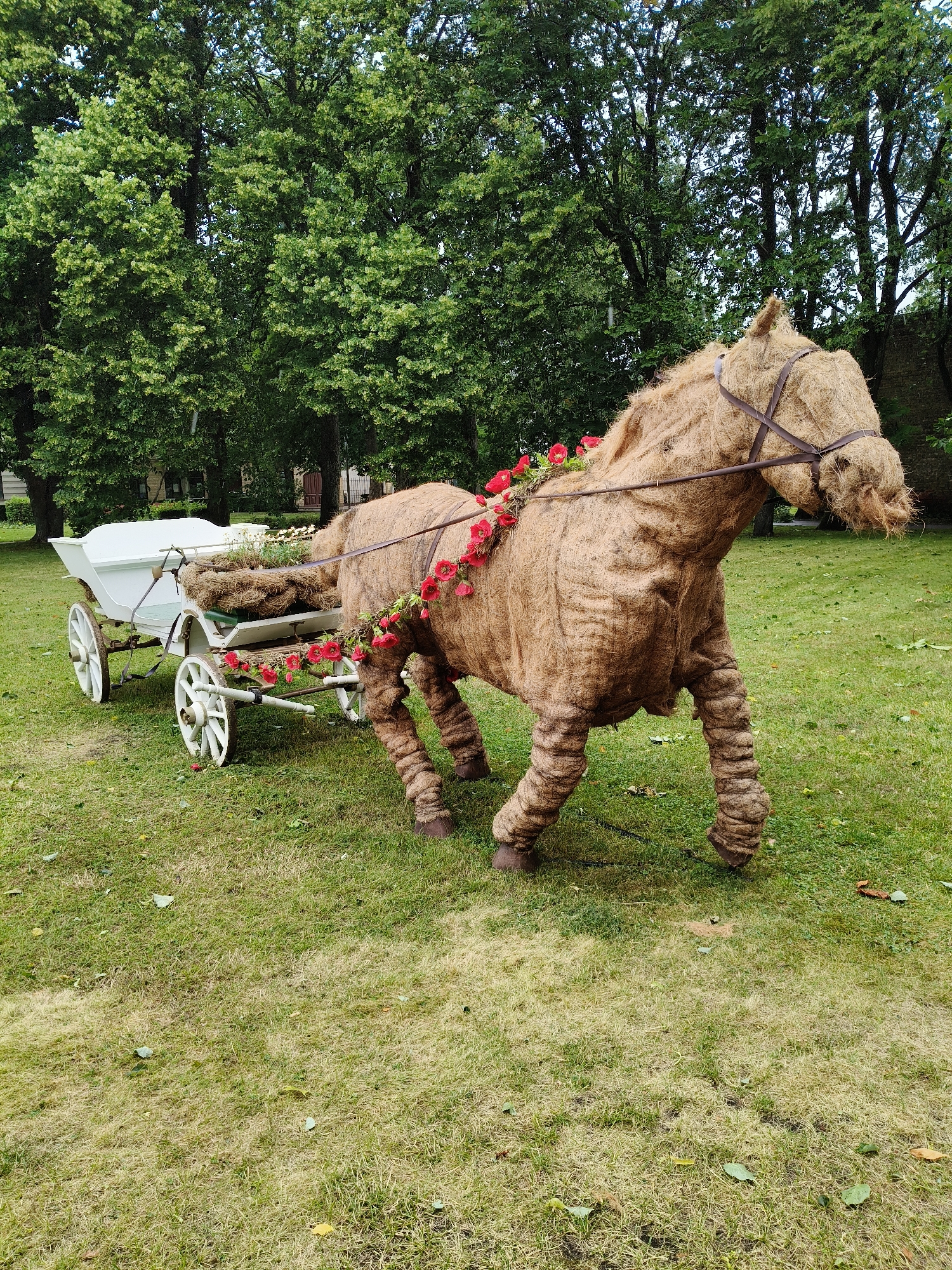 In Ventspils, Latvia, on a grassy area with scattered fallen leaves, a life-sized, straw-covered sculpture of a horse stands. The horse is equipped with a brown leather-like bridle and reins. A garland of red flowers adorns its back and neck. The horse is attached to a white, two-wheeled carriage, also decorated with red flowers and straw. The carriage contains a substantial amount of straw or hay. In the background, lush green trees provide a natural backdrop, with a hint of a stone building visible to the far right. The scene is presented in a natural, outdoor setting.