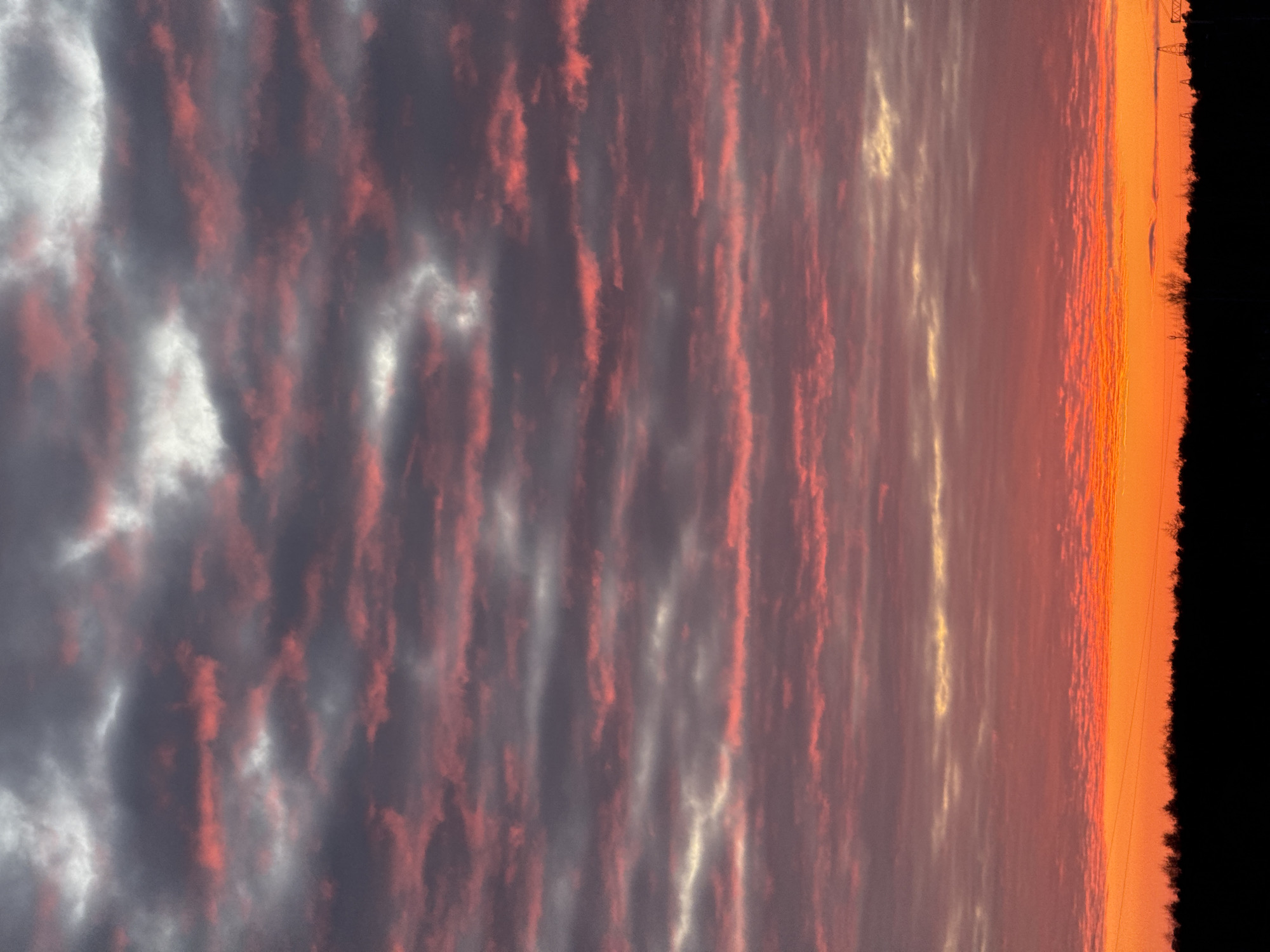 The scene captures a sunrise or sunset over the city of Chaikovsky, Russia. The sky is dominated by layered clouds, displaying a spectrum of colors. The upper sky features dark grey and white clouds interspersed with prominent horizontal streaks and patches of deep red and pink. Below this, the clouds transition into more concentrated bands of red and pink, merging downwards into a vibrant, intense orange glow that occupies the lowest portion of the sky, immediately above the horizon. The horizon itself is defined by a sharply silhouetted, dark treeline composed of numerous small, indistinct tree forms. To the far right, near the horizon, a partial silhouette of a transmission tower or similar industrial structure is visible against the bright orange sky. No individuals, specific actions, or interactions are discernible within the frame.