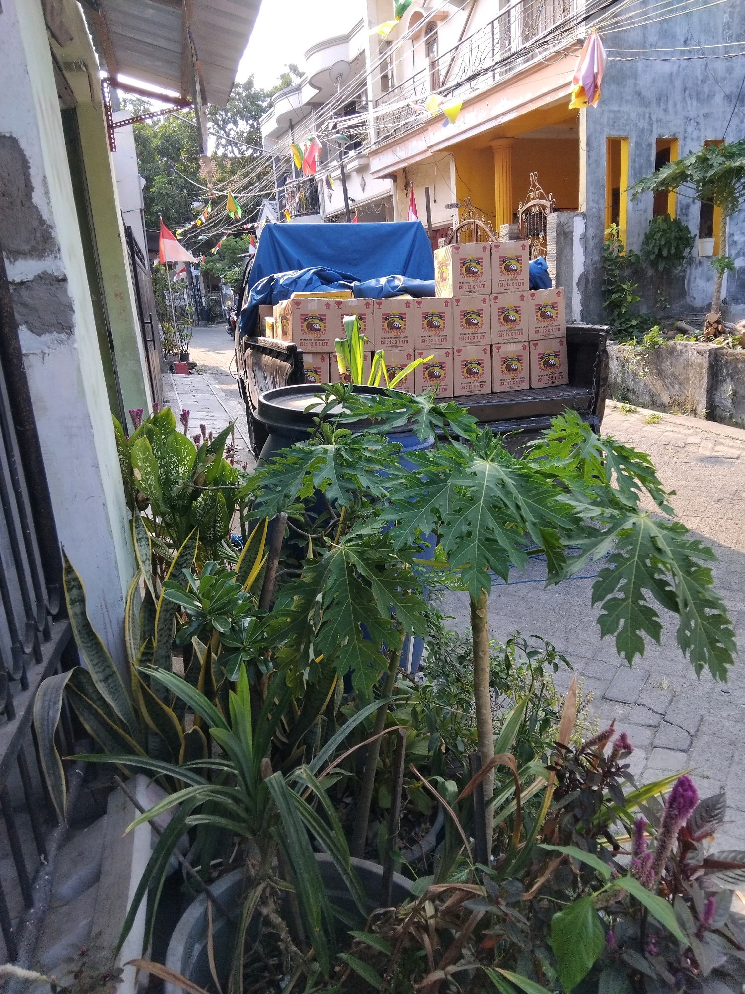 The image depicts a street scene in Berbek, Indonesia, on a bright, sunny day. In the foreground, several potted plants are visible, including a papaya tree with large, lobed leaves. To the left, a grey, textured wall with vertical black bars suggests a fence or gate. Behind the plants, a black pickup truck is loaded with stacked cardboard boxes, many of which have a label featuring a red, circular logo with text and an illustration of a smiling face. A blue tarp covers part of the truck's bed.
The background shows residential buildings with balconies and yellow-accented windows. Decorative flags, in various colors including red, yellow, and green, are strung across power lines, suggesting a festive occasion or national celebration. The street is paved with interlocking bricks, and the overall environment appears to be a residential or commercial area within a town. There are no people clearly visible in the image. The lighting indicates it is likely morning or late afternoon due to the long shadows.