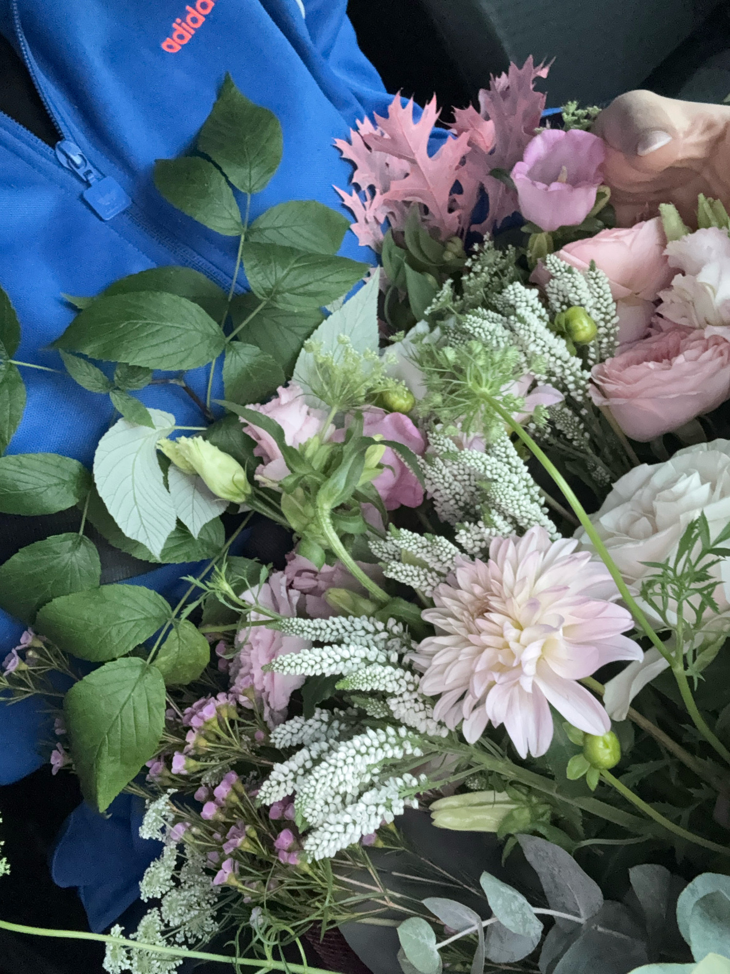 A close-up, overhead shot shows a hand holding a bouquet of flowers arranged on a bright blue Adidas tracksuit. The flowers are a mix of light pink roses, white astilbe, and a large light pink dahlia, interspersed with green leaves and sprigs of Queen Anne's lace. The background is dark, with a hint of what appears to be a car interior, possibly a vehicle belonging to a taxi service in Tallinn, Estonia.