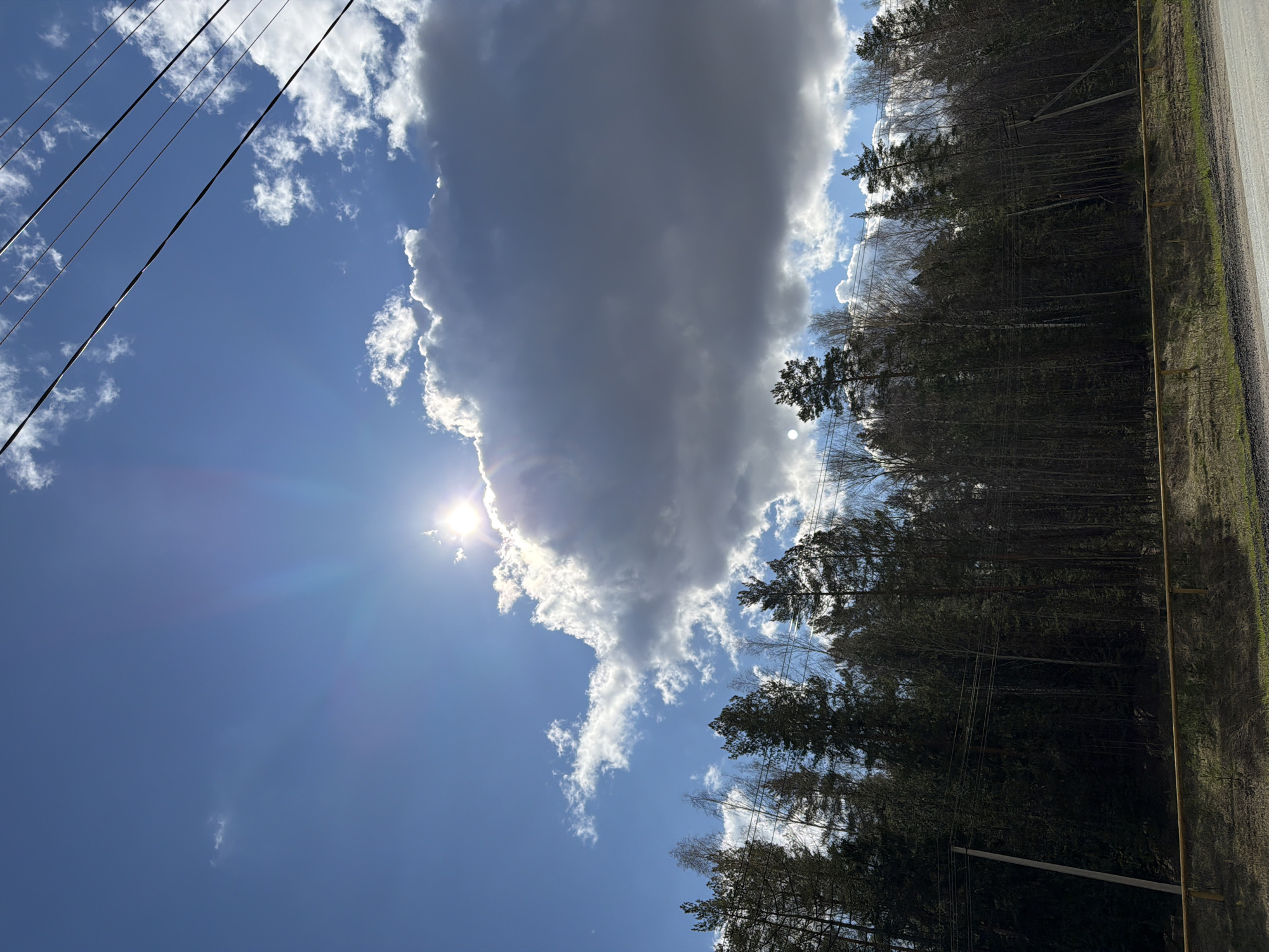 This media file captures a vibrant outdoor scene in Noviy, Russia, under a partly cloudy sky during daytime, likely late morning or early afternoon given the high sun. The dominant feature is a large, dense, dark grey cloud positioned in the upper left and central portions of the frame. The sun shines brightly from behind this cloud in the upper left, creating a prominent glare and visible sunrays across the blue sky. Scattered white, wispy clouds are also present in the clearer blue areas of the sky, particularly on the right side.
Along the right edge of the image, a dense line of trees forms the edge of a forest, primarily consisting of evergreens with some bare deciduous trees interspersed. Multiple dark power lines stretch diagonally across the upper left and central sky, supported by a wooden utility pole visible among the trees on the right. A light-colored dirt or gravel road runs along the far right edge, bordered by patches of green grass. A distinctive yellow pipe-like structure is visible horizontally along the lower right, possibly running parallel to the road or part of a roadside utility. No specific activity or visible text is present in the image.