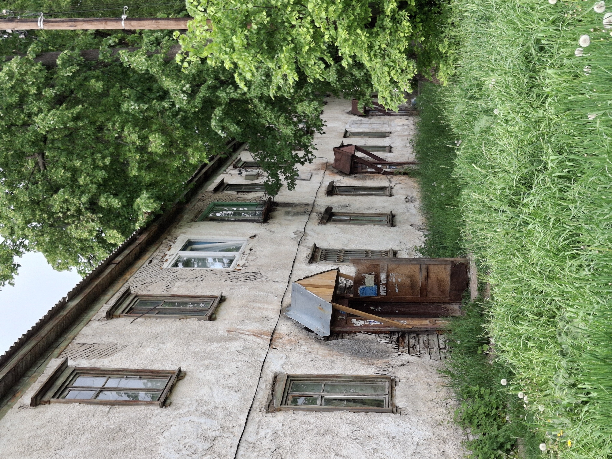 A low-angle outdoor shot shows the side of a dilapidated, light-colored multi-story building in what appears to be Chaikovsky, Russia. The building's facade is rough and textured, with multiple windows of varying sizes and conditions, some with wooden frames and others appearing more modern. The windows are aligned in horizontal rows, suggesting multiple floors.
Attached to the building's side is a partially open wooden structure that resembles a small balcony or external storage area, with a makeshift metal cover. Patches of green grass and weeds grow densely along the building's base, extending to the right side of the frame.
Overhanging the top of the building and partially obscuring it is a large green tree. The tree branches extend towards the top-left corner of the frame, providing a natural canopy. A wooden utility pole with wires runs along the top edge of the image, behind the tree canopy.
The overall impression is one of decay and abandonment, with the building showing signs of age and neglect.