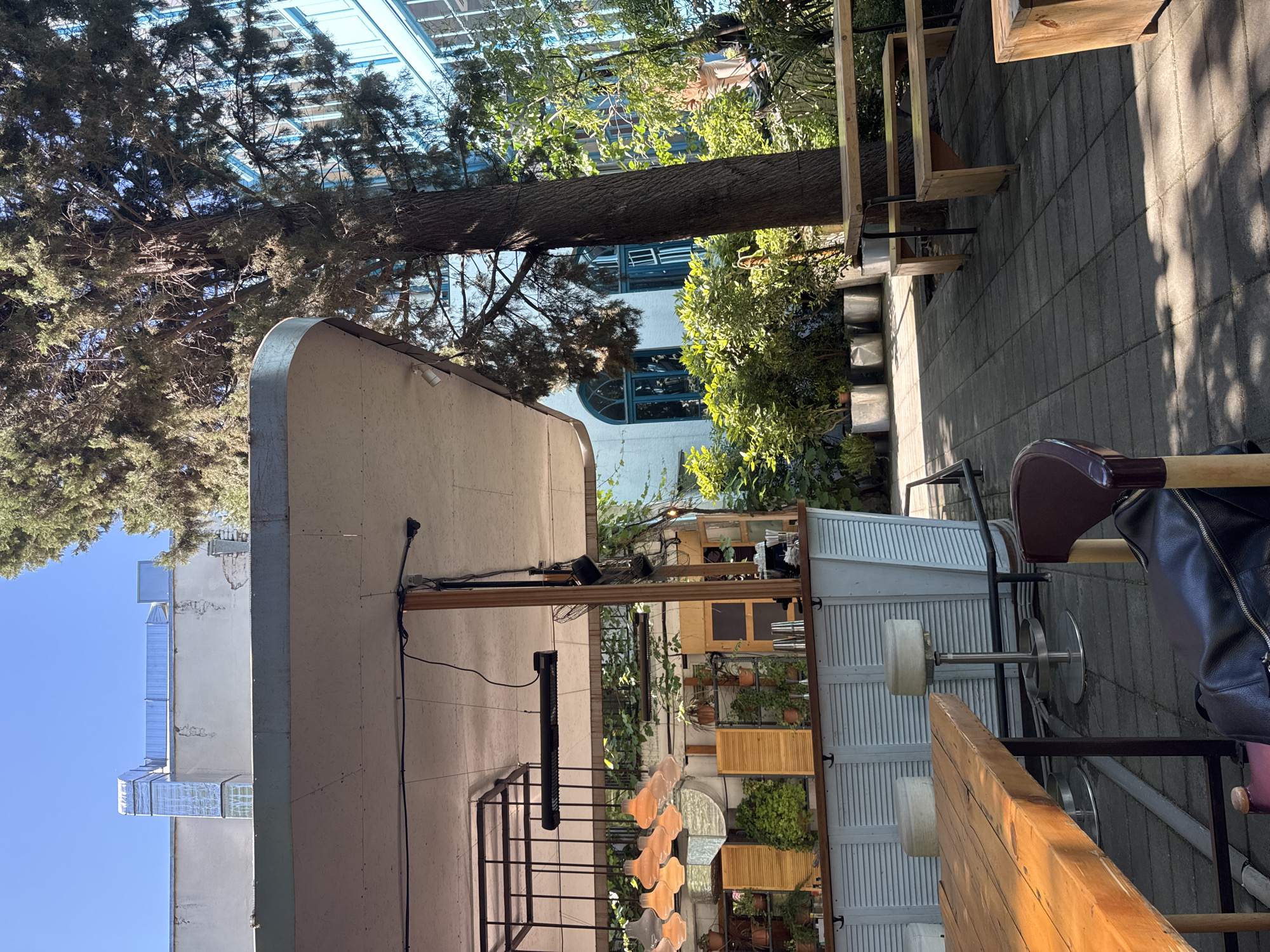 This image captures an outdoor patio or terrace area, likely part of a cafe or restaurant, presented in a sideways orientation. The scene is bathed in bright daylight under a clear sky, with strong shadows indicating a sunny day, possibly late morning or early afternoon.
In the foreground and midground, there are various pieces of outdoor furniture, including light wooden tables and benches, along with metal bar stools featuring white or light-colored seats. A black bag is resting on one of the chairs. The ground is paved with rectangular grey tiles.
Lush vegetation is prominent throughout the image. A large, dark-barked tree trunk spans horizontally across the upper middle section of the frame, appearing to grow from the right and extend towards the left, heavily laden with green foliage. Other trees and bushes with dense green leaves, along with potted plants, are scattered around the area, suggesting a well-maintained green space.
In the background, several buildings are visible. One prominent building is light-colored, possibly white or cream, featuring distinctive blue-framed windows, some of which are arched. Another building section to the left shows a weathered, lighter-colored facade with what appear to be ventilation or air conditioning units on its roofline. Electrical wiring and light fixtures are attached to the walls of the structures within the patio area.
The scene is devoid of people, giving it a quiet and unoccupied atmosphere. There is no specific activity taking place, and no visible text is discernible in the image.
