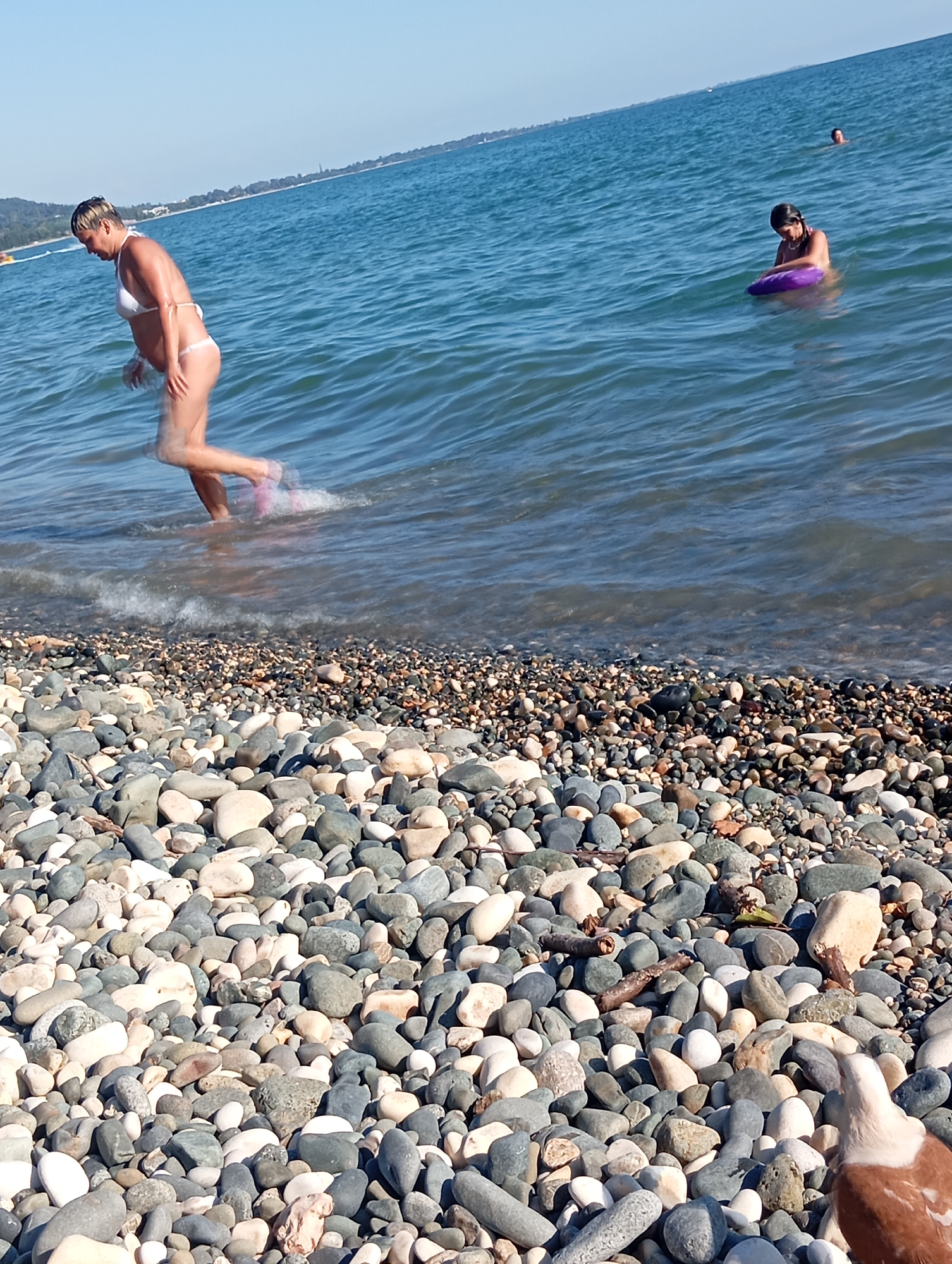 The image depicts a sunny day at a pebble beach in Sokhumi, Abkhazia. In the foreground, a multitude of smooth, multicolored pebbles cover the shore. The turquoise water of the Black Sea laps gently onto the beach. In the mid-ground, a woman in a white bikini is walking out of the water, her legs blurred from motion. Further out in the sea, two individuals are visible. One person, partially submerged, is sitting on a purple inflatable ring, while another person is further in the distance, also in the water. The horizon is marked by a distant, hazy shoreline with some greenery and buildings. The sky is clear and blue.