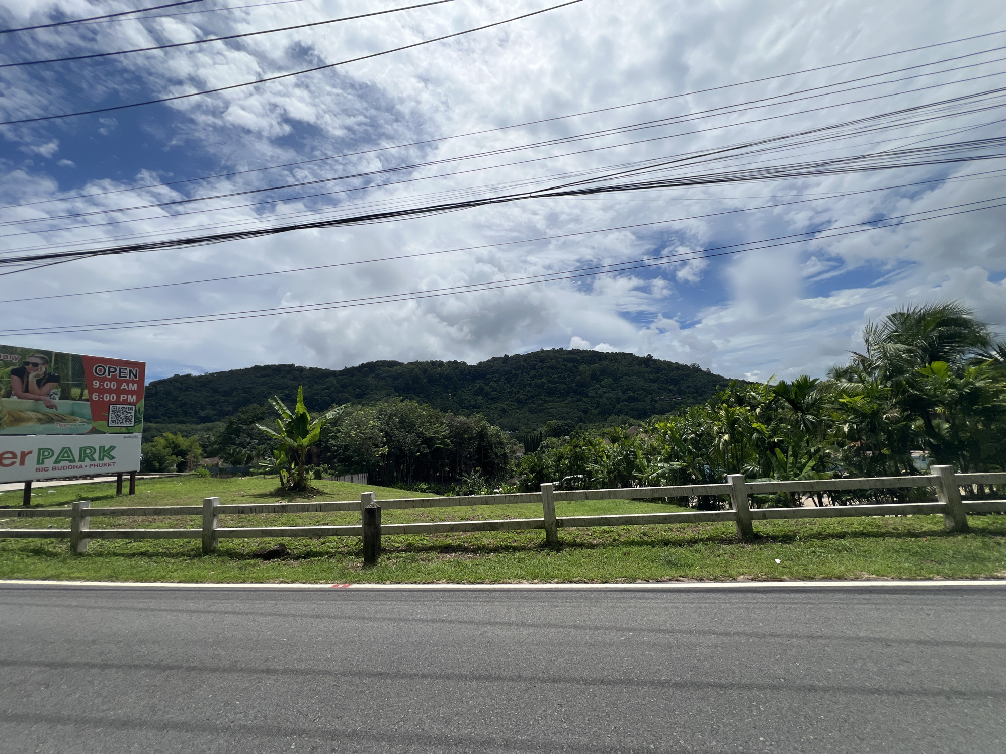 An eye-level, exterior medium shot captures a roadside view in Chalong, Thailand, under a cloudy sky with visible power lines crisscrossing the frame. The foreground features a gray asphalt road with a white line marking its edge. Beyond the road, a well-maintained green lawn is bordered by a light-colored, horizontal wooden fence with white posts.
To the left, a large billboard advertises "Tiger PARK" and displays "OPEN 9:00 AM 6:00 PM" along with a QR code. Behind the billboard, a lush, green, tree-covered mountain rises, its slopes dotted with some structures partially obscured by foliage. To the right of the mountain, a dense cluster of palm trees and other tropical vegetation is visible. A single banana tree stands in the mid-ground to the left of the fence. The overall scene suggests a tropical, possibly tourist-oriented location.