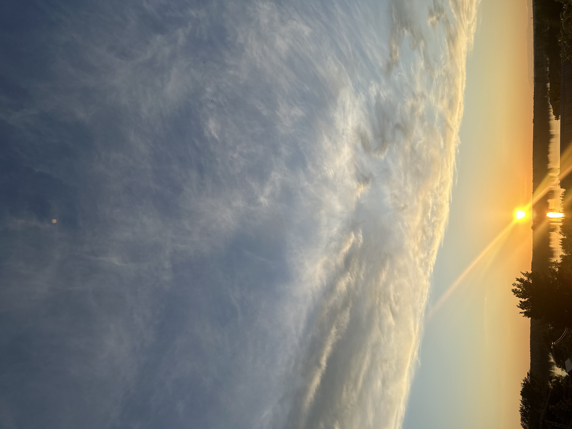 The image displays a serene sunset or sunrise over a body of water, likely a river, in Chaikovsky, Russia. The sky occupies a significant portion of the frame, filled with expansive, wispy, cirrus-like clouds that streak across the heavens. These clouds vary in color from soft blue in the areas untouched by direct sunlight to brilliant whites and golden-yellows where they are illuminated by the intense light of the sun.
The sun, a luminous golden orb, is positioned low on the right side of the horizon, casting a powerful glare and a prominent ray that extends upwards and reflects across the water. The water surface, reflecting the sun's light, appears as a shimmering expanse. Along the distant horizon on the right, a dark, silhouetted shoreline is visible, densely covered with trees and possibly some subtle structural outlines. These dark forms stand in stark contrast against the bright sky and reflective water. Small, dark specks, possibly birds, can be observed in the distant sky. A small, distinct lens flare is also present in the upper left area of the image. The scene conveys a peaceful and beautiful atmosphere during the golden hour. No visible text is present.