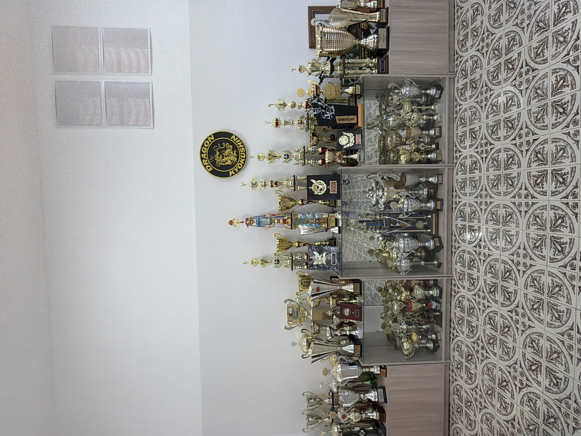 The image depicts a room with trophies displayed in a shelving unit. The wall is white with two rectangular textured panels. A round logo featuring the text "DRAGON NIHO" and a dragon design is visible on the wall, next to the trophies. The shelves are filled with numerous trophies of various sizes and designs, mostly gold and silver. The adjacent wall is covered with a patterned tile design. The location is Chaikovsky, Russia.
