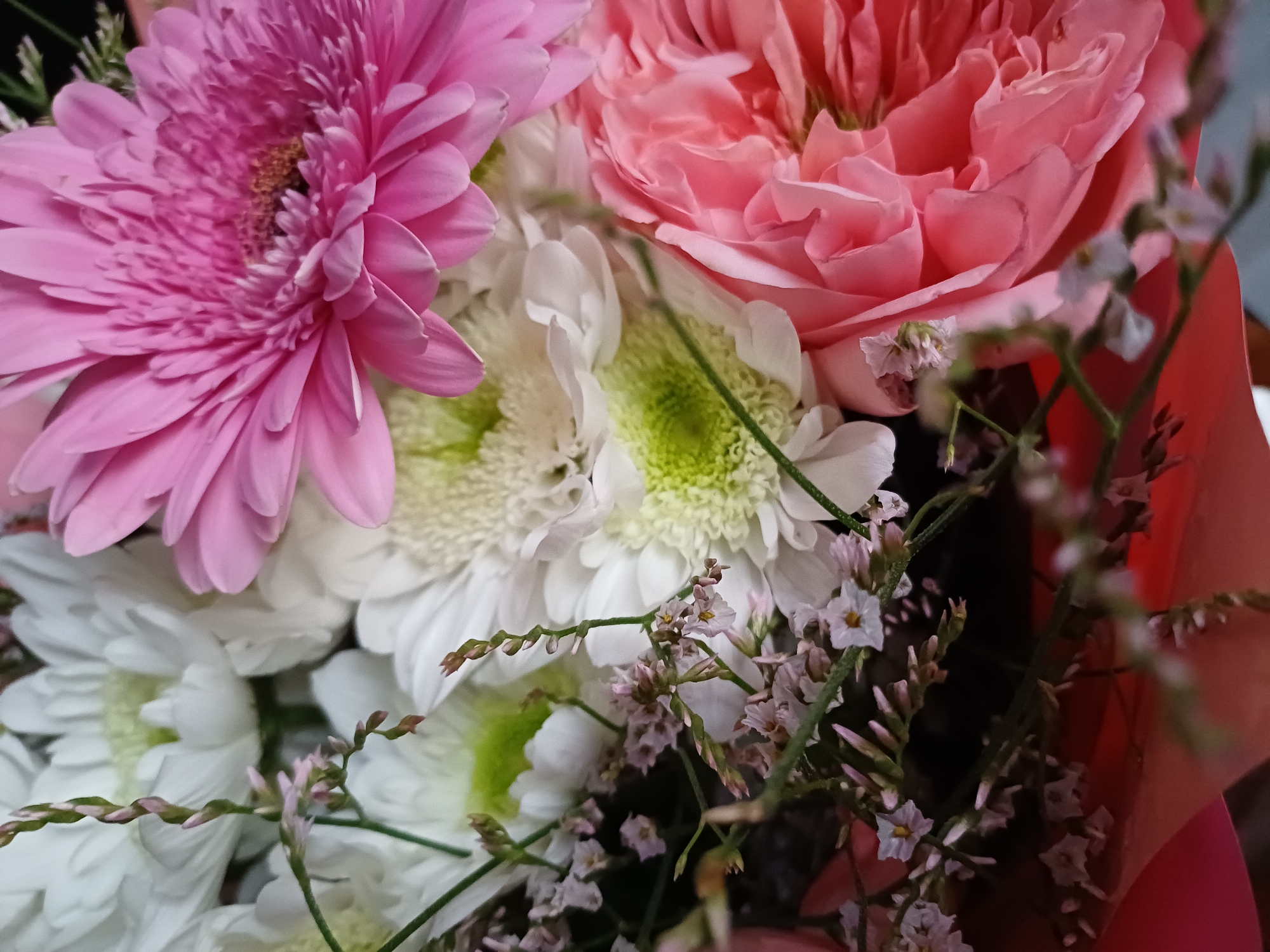 This is a close-up, overhead shot of a colorful bouquet of flowers. The primary subjects are the flowers themselves, which include a large pink gerbera daisy on the left, a delicate pink peony or rose in the upper right, and several white chrysanthemums with bright green centers scattered throughout. Tiny, light pink wildflowers with green stems are also visible, adding a wispy texture to the arrangement. The flowers are arranged in a bouquet, with a hint of reddish-pink wrapping paper visible on the right side.
The image focuses on the textures and vibrant colors of the blooms. The gerbera daisy is in sharp focus, showcasing its numerous thin petals and textured center. The pink peony is slightly softer in focus, highlighting its ruffled petals. The white chrysanthemums provide a bright contrast, their green centers adding a pop of unexpected color. The small wildflowers are blurred, creating a sense of depth and adding a delicate, natural element to the bouquet.
There is no visible text in the image. The lighting appears to be natural and soft, suggesting the photo was taken indoors or on an overcast day, as there are no harsh shadows. The overall mood is cheerful and celebratory, evoking a sense of beauty and nature. The lack of a background scene or identifiable location cues makes the flowers the sole focus of the image.