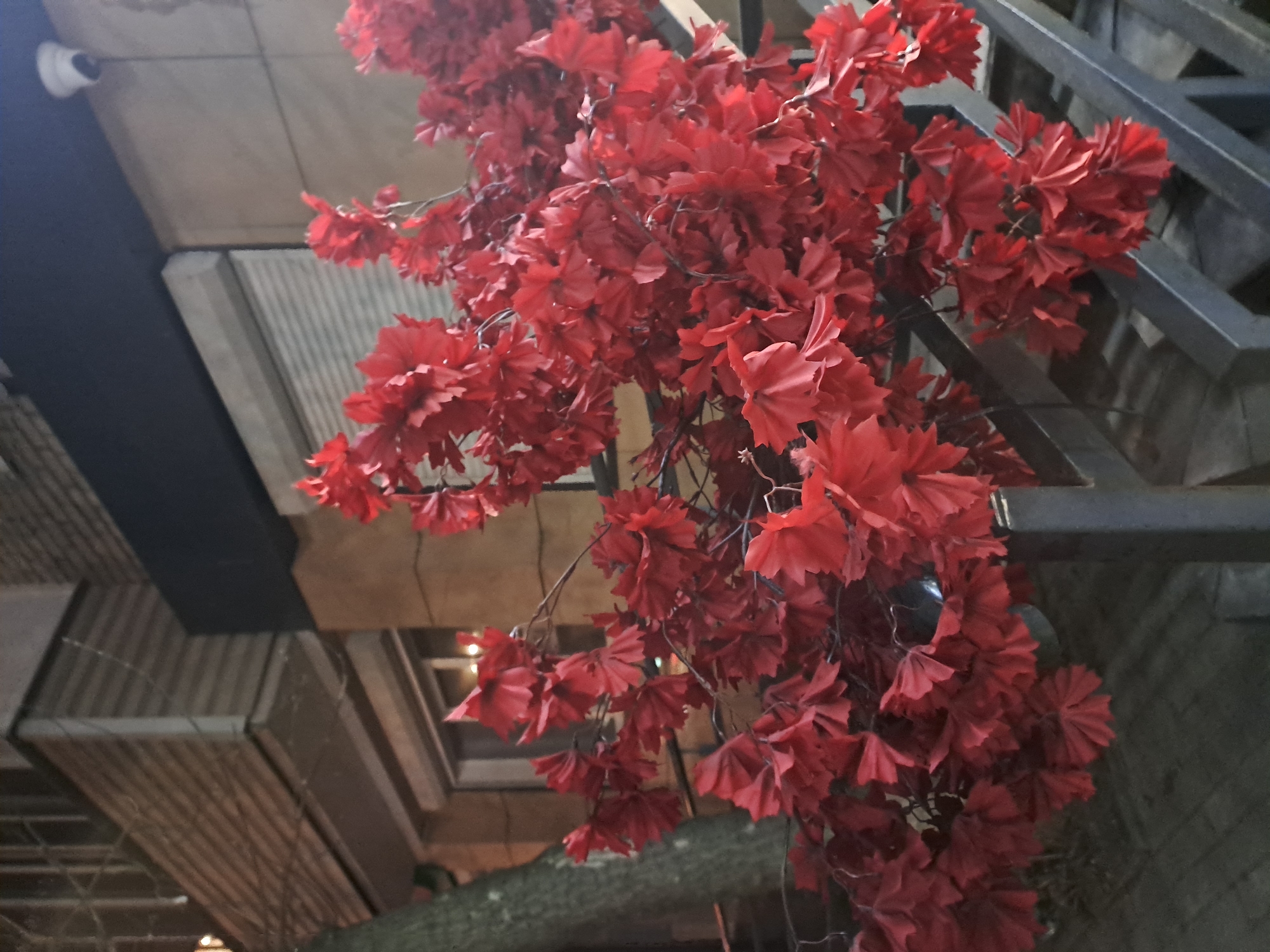 The image shows a close-up view of an artificial red floral arrangement hanging from a metal structure, possibly a railing or architectural support. The arrangement is dense, with numerous individual red flowers or leaves clustered together. The background is a mix of architectural elements, including what appears to be a ceiling with a security camera, and metal structures. The lighting is dim, suggesting an indoor environment. There is no verifiable evidence to confirm that this image was taken in the city of Elektrostal, Russia. The image does not contain any people.