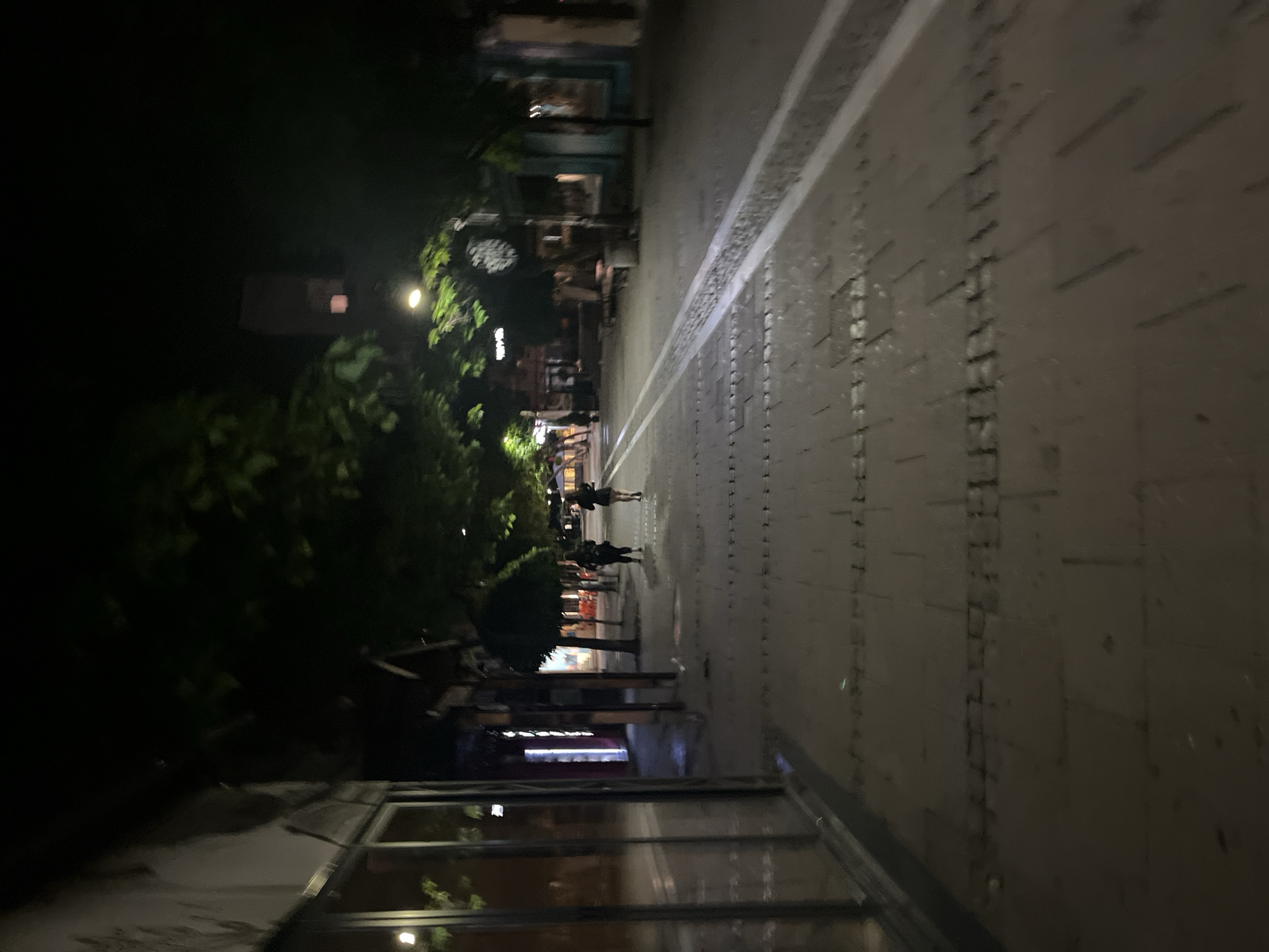 The image depicts a nighttime scene of an urban pedestrian street in Blagoevgrad, Bulgaria, looking along its length. The ground is paved with rectangular blocks, featuring a prominent double white line running parallel to the path, likely delineating a walkway or lane. The pavement is visibly wet, reflecting the artificial lights from the surroundings, which suggests recent rainfall.
On the left side of the street, dense green foliage and trees line the path, partially illuminated by scattered light sources. A glowing yellow-orange streetlight is visible amidst the leaves. Behind the trees are buildings with illuminated windows and storefronts. In the foreground on the left, a large reflective glass facade of a building is visible. Further down the street, an indistinct circular sign with blurry white text or a logo is present.
Several people are visible in the mid-ground, walking along the street. They appear as dark, indistinct figures due to the low light, with one individual further ahead seemingly holding an umbrella. The overall atmosphere is quiet and subdued, characteristic of an urban street late in the evening after rain. No specific event beyond typical pedestrian activity is clearly depicted. The image was originally captured in a portrait orientation but is displayed rotated 90 degrees clockwise.
