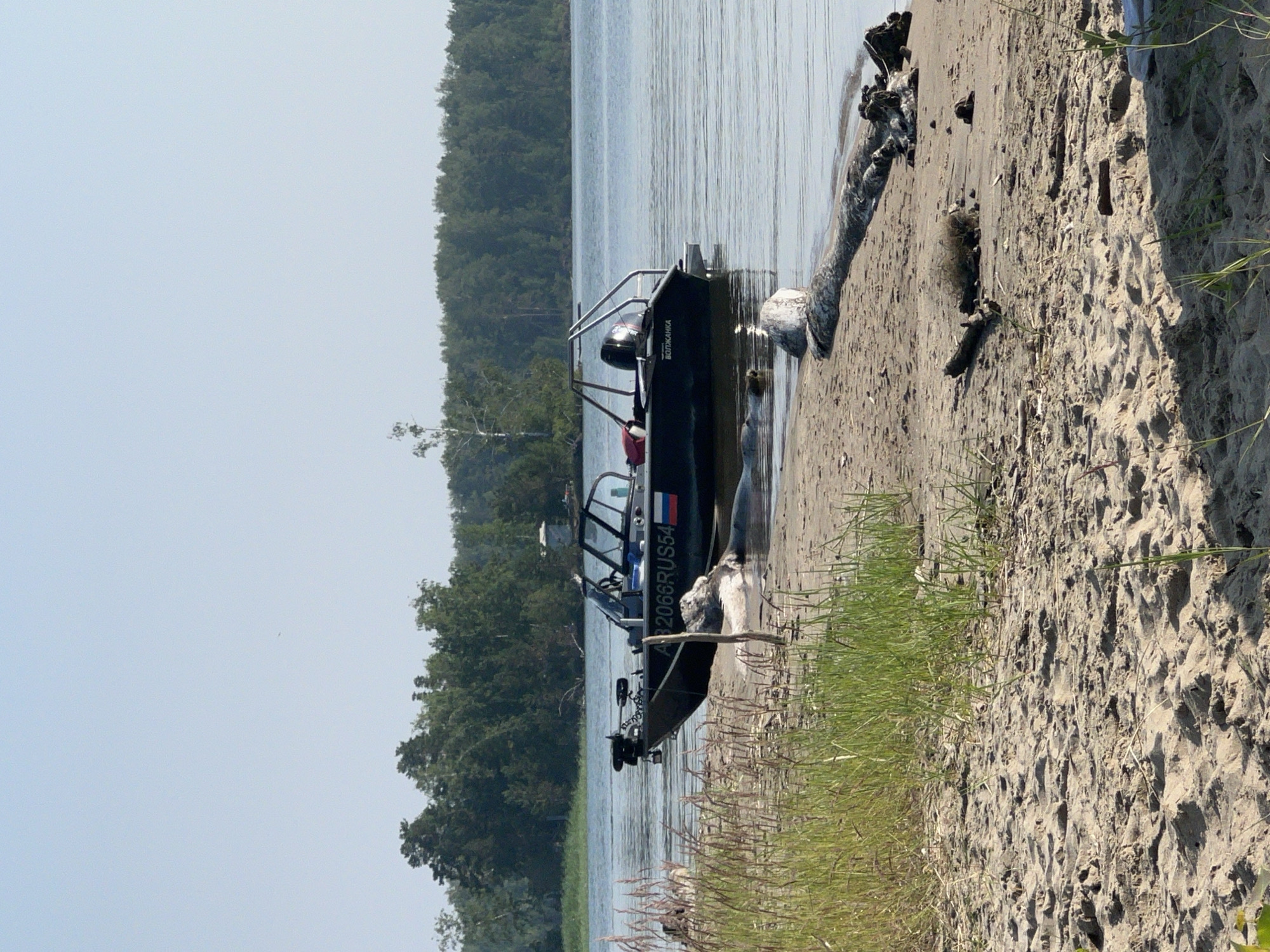 A dark-colored motorboat with a white registration number "A 2066 RUS54" and a Russian flag decal is partially beached on a sandy shore. The boat has a metal frame structure over the cabin, and a black outboard motor is visible at the stern. A red bag is placed on the seats inside the boat. The boat is positioned facing towards the left of the frame, with its bow resting on the sand.
The shore is composed of light-colored sand with scattered driftwood, including a large log lying horizontally near the water's edge. Tall, dry grass and green reeds grow along the edge of the sand, extending towards the left side of the image. The water is calm with ripples reflecting the clear blue sky.
In the background, a dense forest with various shades of green trees lines the horizon, separating the water from the sky. The sky is a pale blue, with no clouds visible. The overall scene suggests a calm, sunny day by a body of water. There are no people visible in the image. The location is not specified in the image or surrounding context, and therefore, cannot be confirmed to be in the city of Borovoe, Russia.