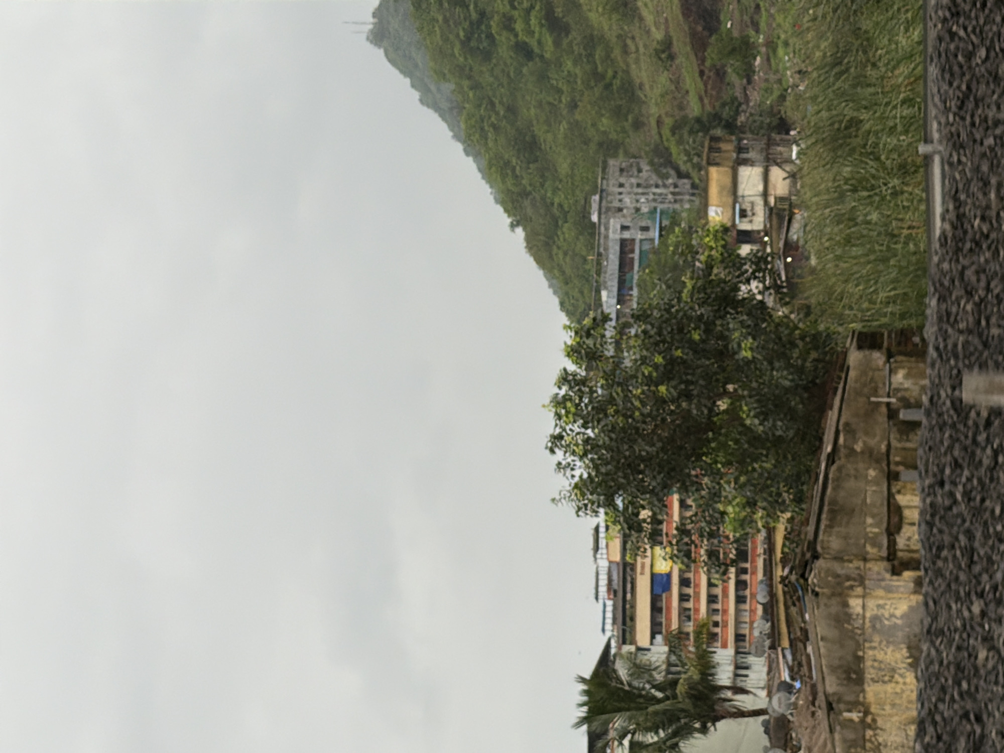 A cityscape with a mountainous backdrop is depicted. In the foreground, a pile of dark, granular material, likely coal or gravel, occupies the bottom of the frame. Above this, a weathered, low-rise building with a textured, yellow facade is visible. Its roof is flat and appears to be constructed from corrugated metal. To the left of this building, a portion of a multi-story apartment building with a white exterior and red balconies is seen, along with a palm tree. Further to the right, a dense, leafy tree stands prominently. In the middle ground, a cluster of multi-story buildings with a colorful facade, featuring red, orange, and yellow sections, dominates the scene. Behind these buildings, a large, green, tree-covered hill rises, with a modern, grey building visible near its base. The sky is overcast with a pale grey hue, suggesting a cloudy day. The overall scene appears to be a residential area within Vasai-Virar, India, characterized by a mix of urban development and natural landscape.