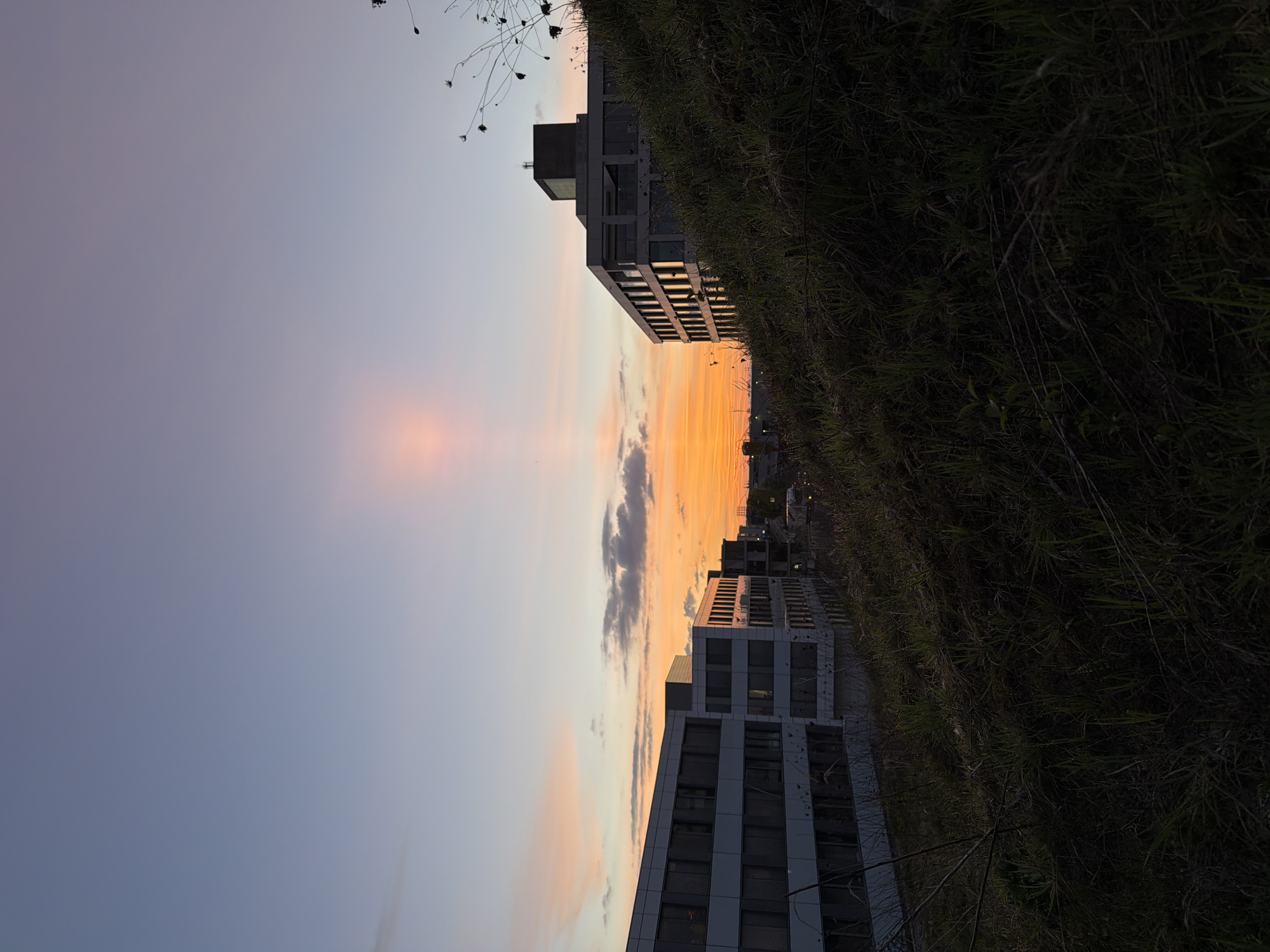 The image captures a sunset over an urban landscape in Leudelange, Luxembourg. The sky dominates the upper left portion of the frame, displaying a gradient of colors from soft blue-grey at the top to vibrant orange and pink hues closer to the horizon on the right. Scattered, dark-edged clouds are visible against the colorful sky, catching the last rays of sunlight.
In the middle ground, several modern, multi-story buildings, possibly office blocks, line the horizon. Their facades are predominantly light-colored (white or pale grey) with numerous dark windows, some reflecting the bright, warm tones of the setting sun. The architecture appears contemporary and structured.
The right side of the image features a steep embankment covered in dark, dense grass and sparse, dry vegetation, acting as a foreground element. This dark mass provides a strong contrast to the illuminated sky and buildings. A few indistinct lights or structures can be vaguely discerned in the distant horizon between the buildings.
The time of day is clearly sunset or dusk, characterized by the warm, dramatic colors in the sky and the deepening shadows on the ground and buildings. The scene is static, with no discernible human activity or visible text. The overall atmosphere is tranquil, highlighting the interplay of natural light and urban architecture.