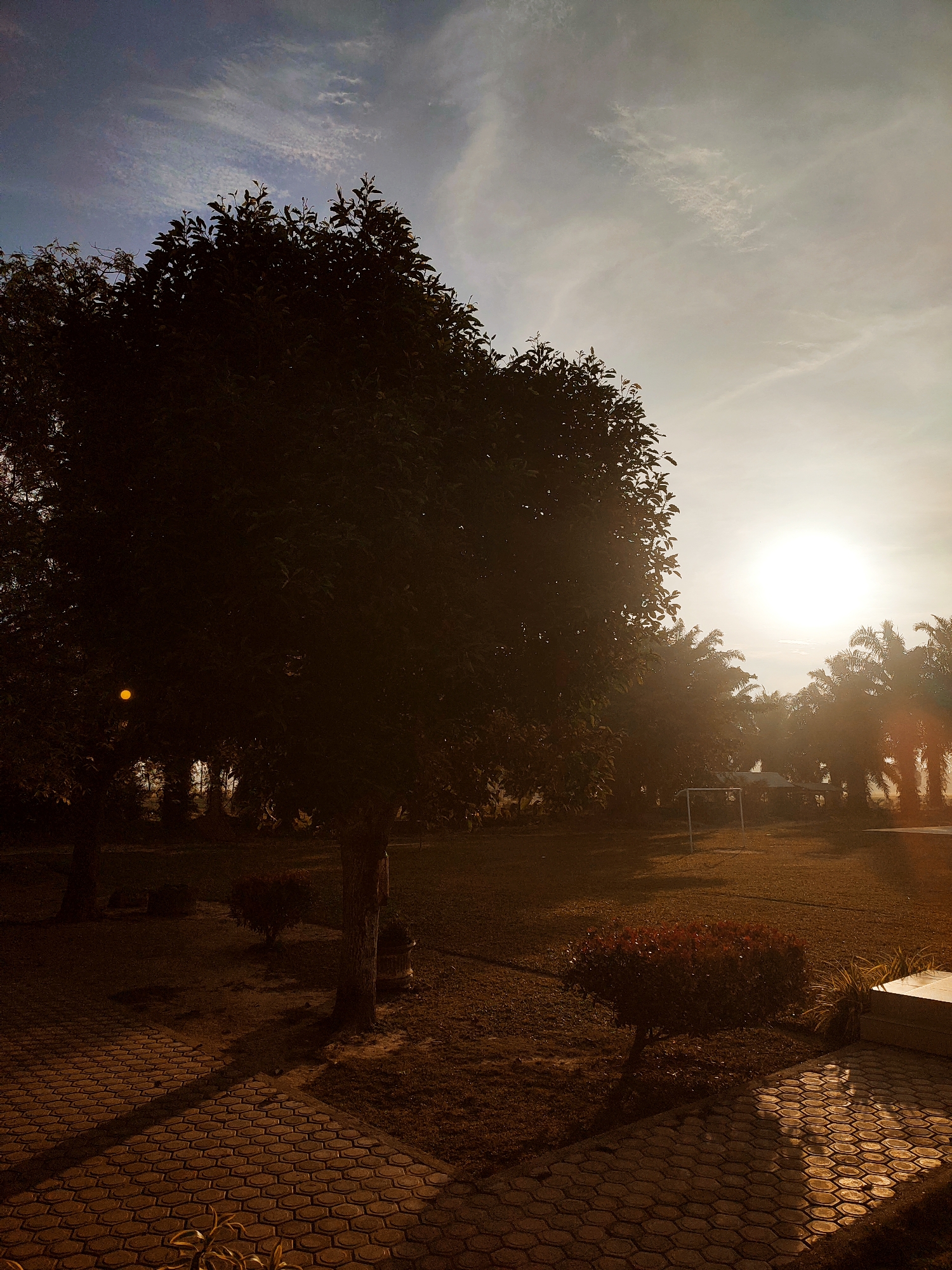 The image captures an outdoor scene, likely a park or large garden, bathed in the warm, golden light of either sunrise or sunset. The sun, a bright and intense orb, is positioned in the upper right quadrant, creating strong backlighting and lens flare.
A large, dark green tree with dense foliage dominates the left side of the foreground, its leaves and branches almost entirely silhouetted against the bright sky and sun. Its trunk is visible near the bottom left, next to a paved walkway. The sky above is a mix of pale blue and hazy white, with thin, wispy clouds.
In the midground and background, more trees are visible, some appearing to be palm trees, also heavily backlit and silhouetted. Between the trees, a grassy area stretches out, with a small, white metal goalpost-like structure visible in the center-right midground. A small, reddish-leafed bush sits on the grass to the right.
The foreground features a patterned paved path with hexagonal or honeycomb-shaped bricks, illuminated by the golden light, especially on the right side. The ground beyond the path is a mix of dirt and grass, cast in deep shadows by the low sun. No people or visible text are present in the image. The overall impression is one of peaceful tranquility during the golden hour in Blangriek, Indonesia.