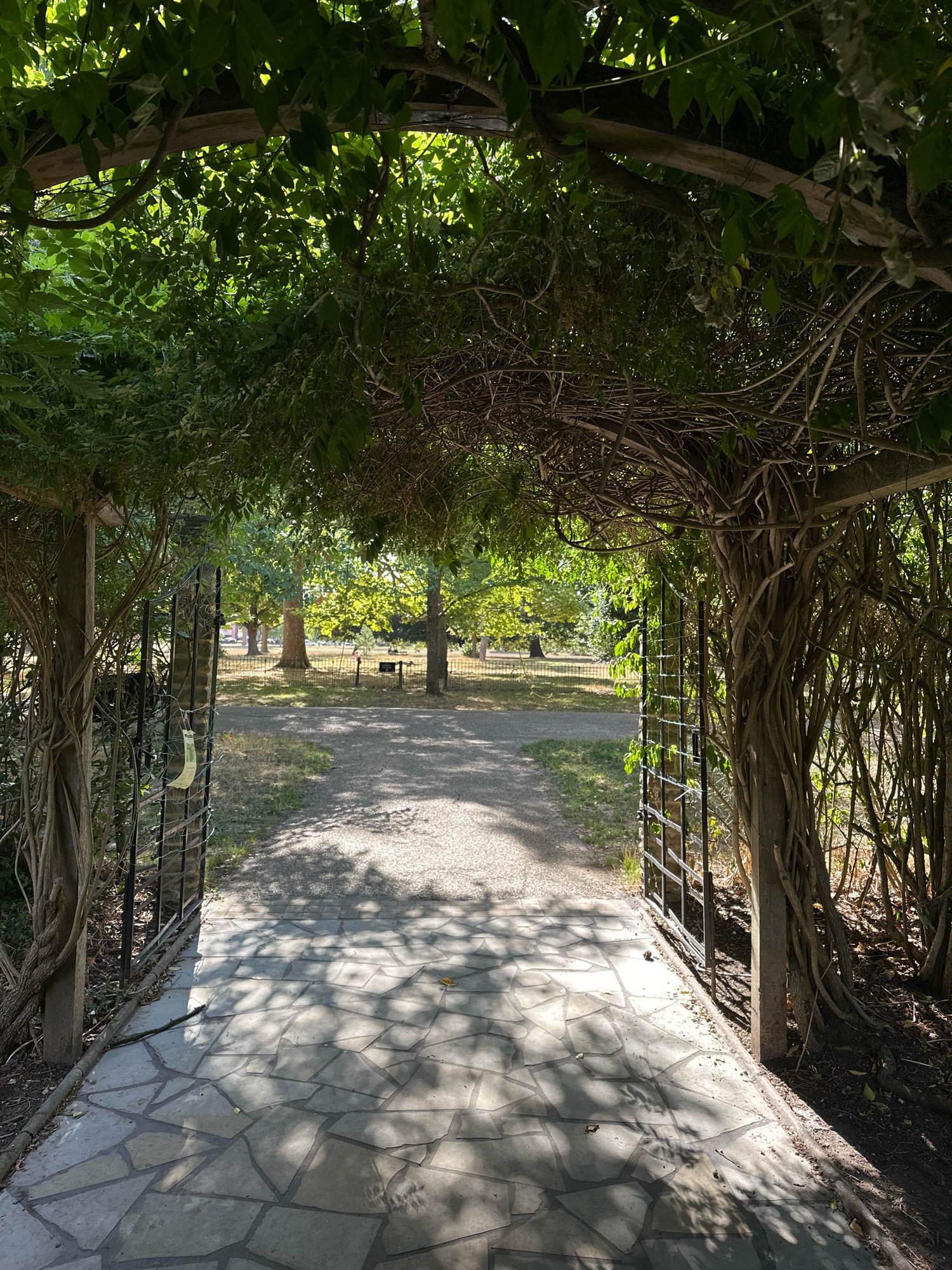 The image shows an arched entryway covered in lush green foliage and intertwined vines. The path leading through the archway is paved with irregular flagstones, casting dappled shadows from the overhead greenery. Beyond the archway, a gravel path winds through a park with mature trees and a black metal fence. The scene appears to be a tranquil outdoor setting, possibly a garden or a public park. The lighting suggests it is daytime, with sunlight filtering through the leaves. There are no people visible in the image.