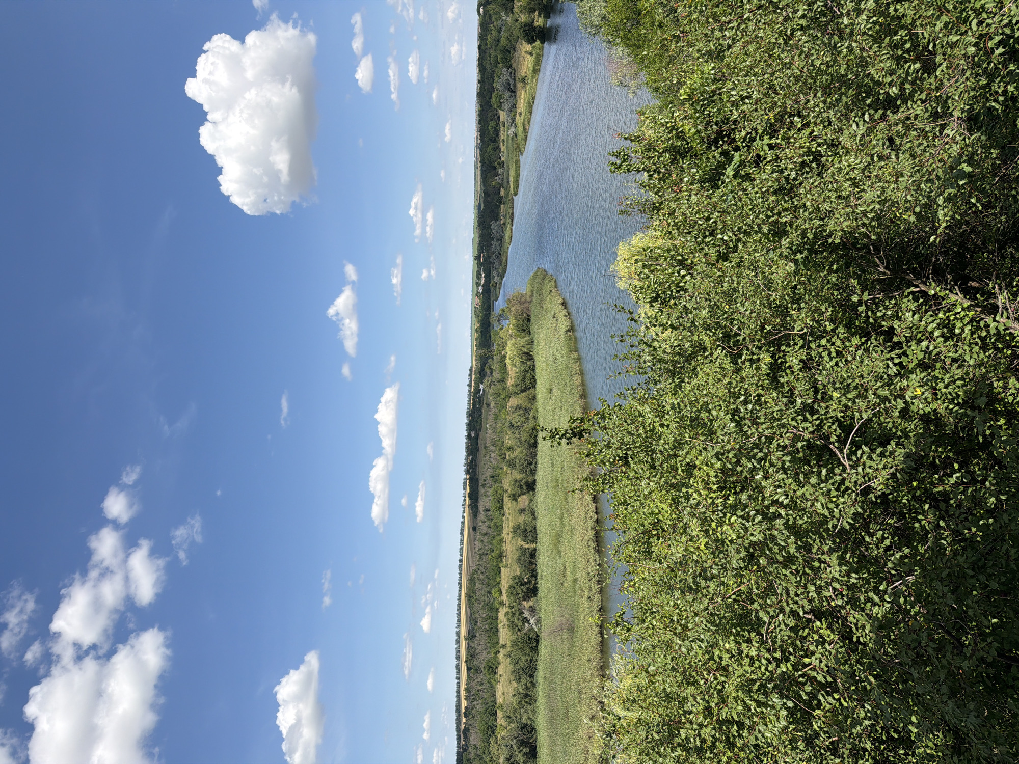 The image depicts a wide, serene river flowing through a verdant landscape under a bright blue sky dotted with fluffy white clouds. The foreground is dominated by lush green foliage, obscuring a portion of the view. Beyond the vegetation, the river winds its way through a valley lined with reeds and trees. The background reveals rolling hills covered in fields of dry grass and scattered trees, with a small settlement visible in the distance on the horizon. The scene captures a peaceful rural setting in Lozuvatka, Ukraine, characterized by natural beauty and a tranquil atmosphere. There are no people or animals visible in the image.