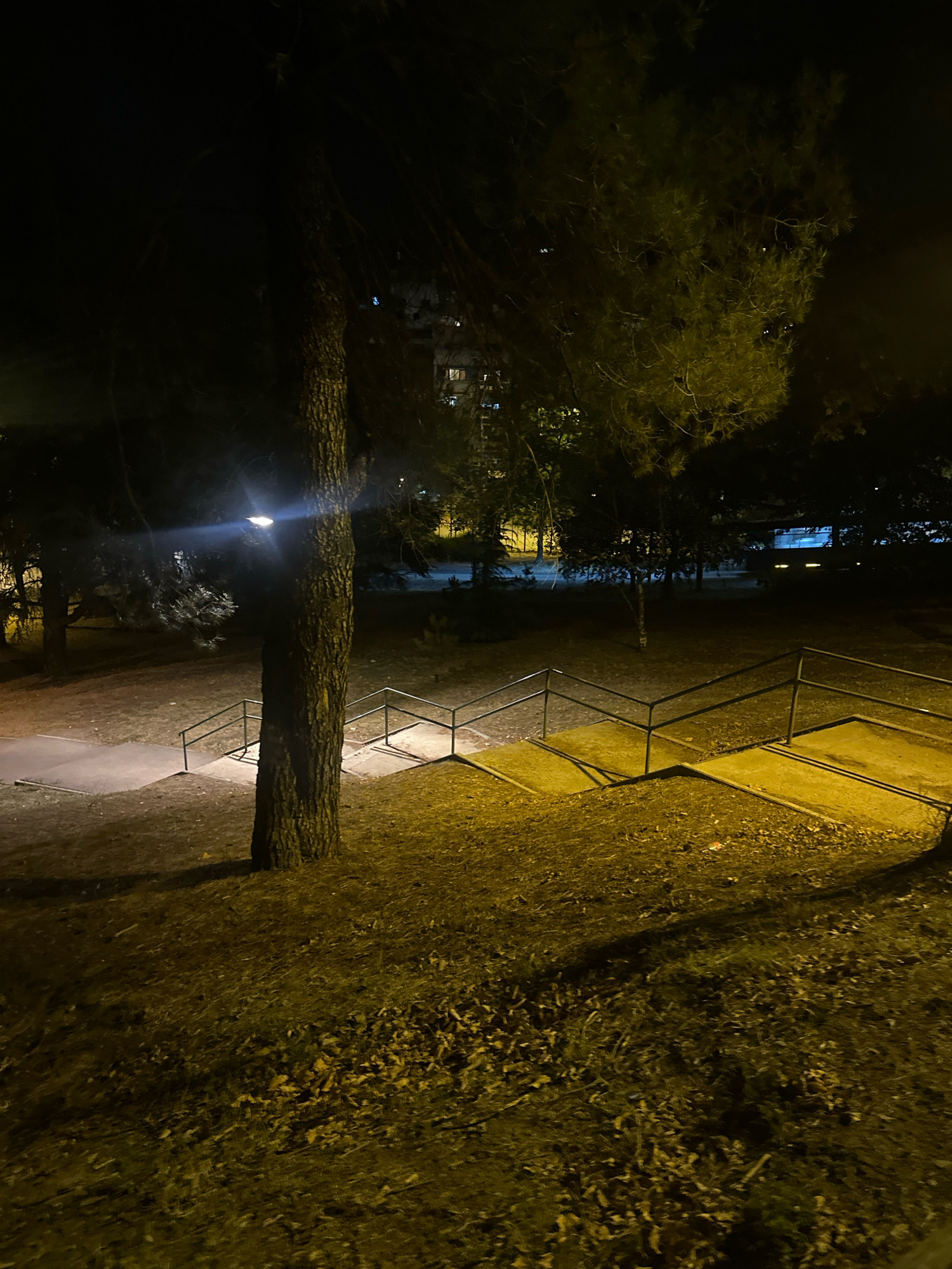 The image depicts an outdoor stairway at night, illuminated by a streetlamp. A large tree trunk stands in the foreground, partially obscuring the stairway which has metal railings. The ground surrounding the stairs is covered in dry leaves and grass. In the background, trees and a building with lit windows are visible. The location is identified as the park in front of the Faculty of Law at the University of Belgrade, Serbia.
