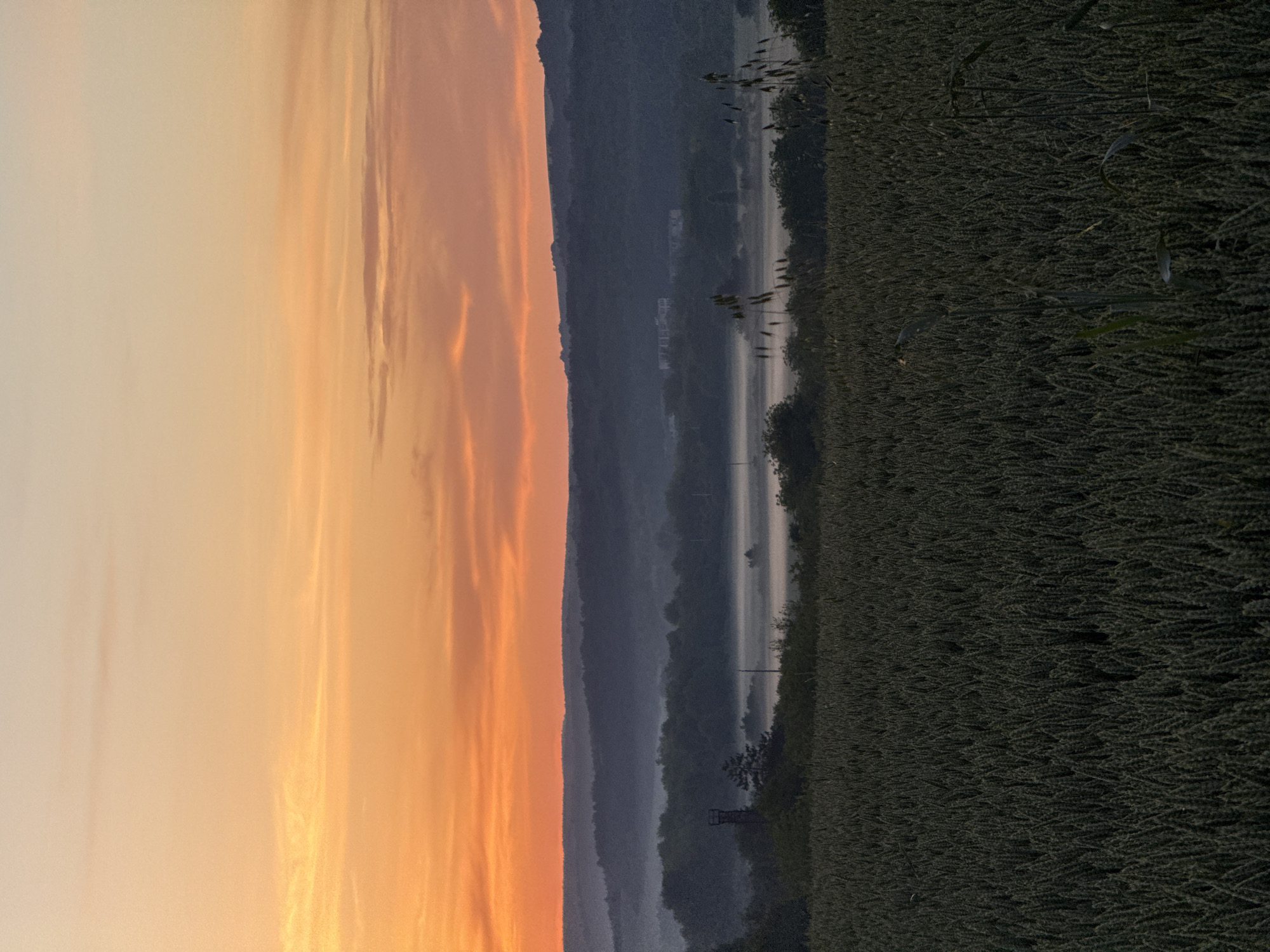 The image presents a landscape featuring a sunset over a field and water in Strazhitsa, Bulgaria. The sky is filled with orange and peach-colored clouds, indicating either sunrise or sunset. A series of hills are located between the sky and water. In the foreground, a field of tall vegetation is visible. The water appears still and reflective, with some trees and shrubs along its edge. A tower structure is visible.