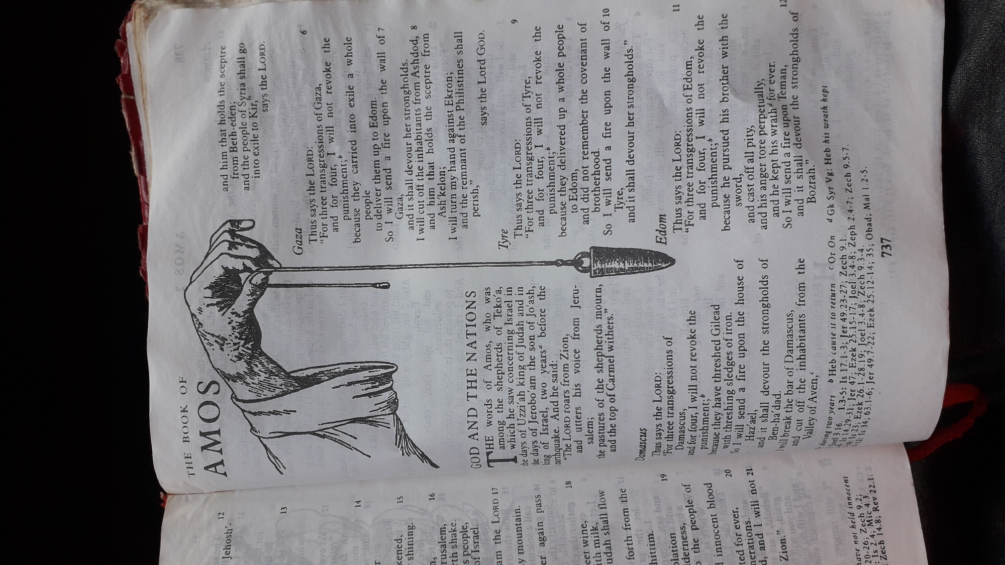 The image is a close-up, overhead shot of an open book, appearing to be a Bible, with red-edged pages. The left page displays "THE BOOK OF AMOS" in large, bold font, followed by chapter and verse numbers. A black and white illustration of a hand holding a plumb line is superimposed over the text. The right page features text in smaller font, divided into sections with headings like "Gaza," "Tyre," and "Edom." The pages are aged, with visible creases and some discoloration. The book is resting on a flat surface, likely a table. The overall scene is static and depicts an inanimate object. There are no people, actions, or interactions visible in the image. The context of the city of Nkpor, Nigeria is not present in the visual information provided.