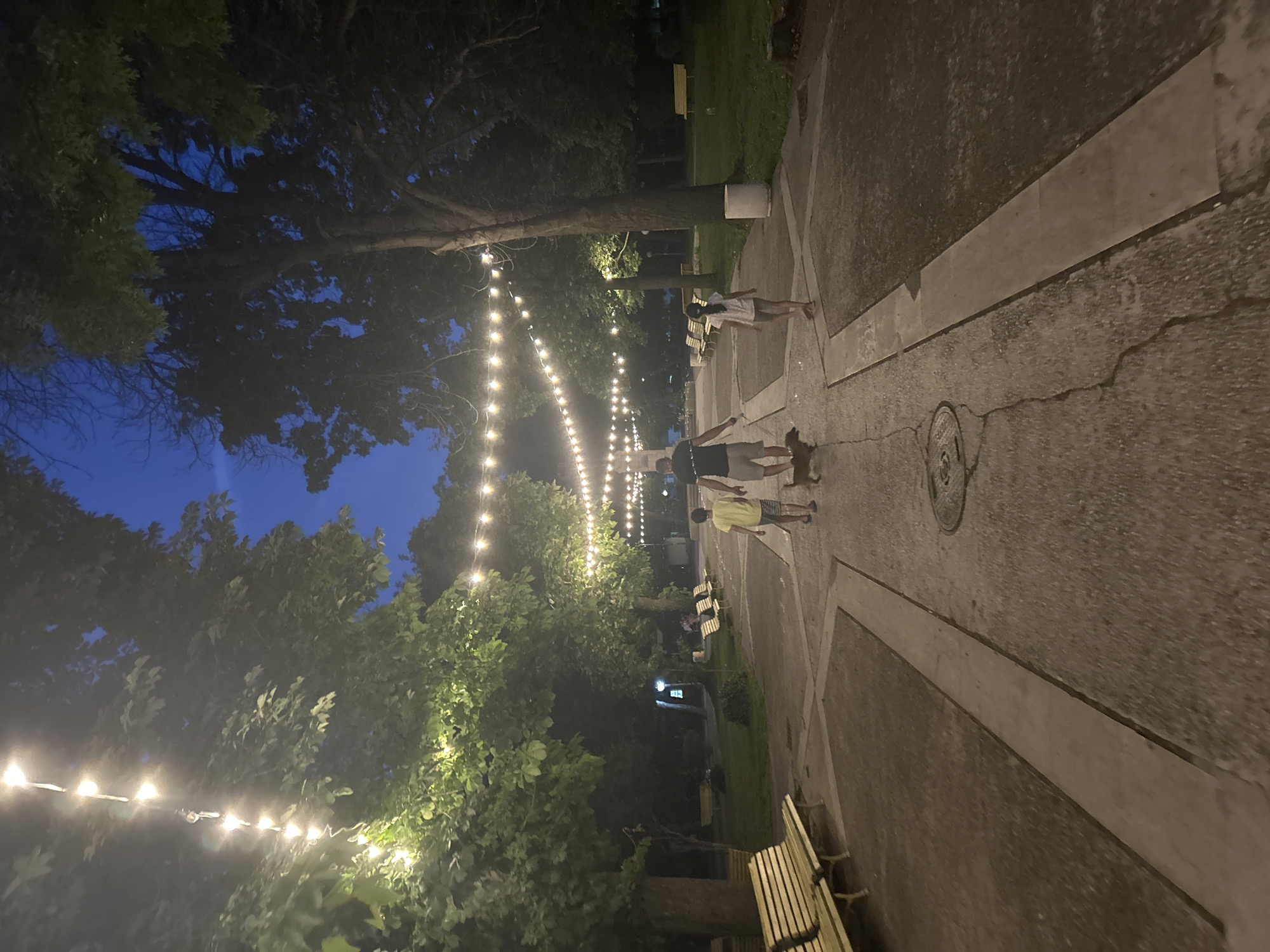 A father, accompanied by his two children and a dog, walks along a paved pathway in a park in the city of Parvomay, Bulgaria. The scene is illuminated by strings of overhead lights, casting a warm glow on the trees and pathway. The sky above is a deep blue, indicating dusk or early evening. Benches are visible on either side of the pathway, suggesting a public recreational area. The father is wearing a dark t-shirt and shorts, while the boy is in a yellow t-shirt and striped shorts, and the girl is in a white t-shirt and grey shorts. The dog, small and brown, walks alongside the father.