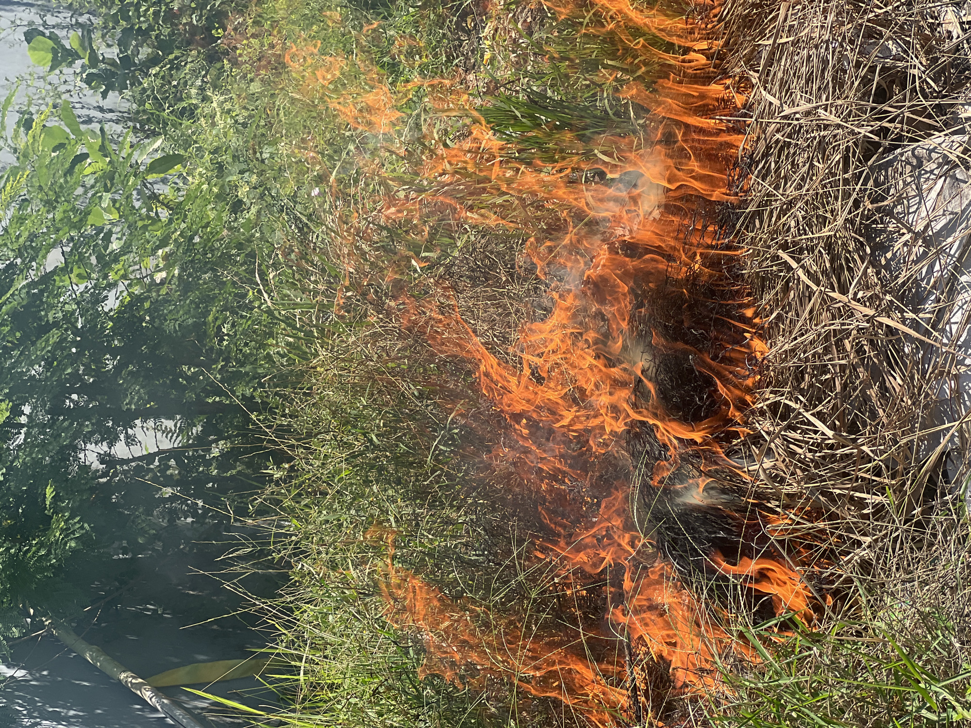 A fire is burning through a patch of grass and dry vegetation. To the left of the fire, green plants and small trees are visible. The right side of the fire is consuming dry, brown grass and debris. The scene is partially obscured by smoke. The photograph appears to have been taken from a low angle, close to the ground. There is no evidence of people in the image. The location is Sukawati, Indonesia, based on the user request.