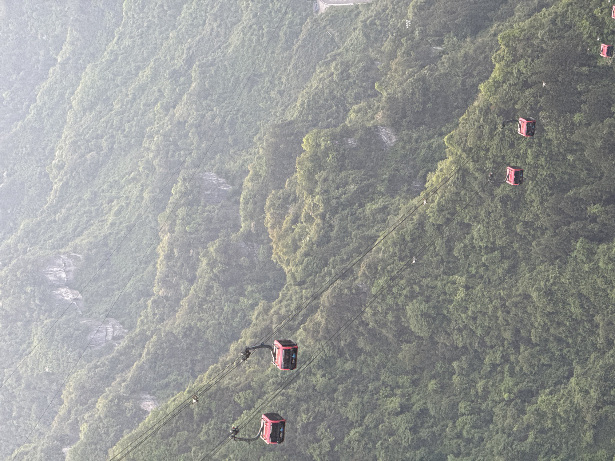 The image shows a steep mountainside in Zhangjiajie, China, covered in dense green vegetation. A cable car system ascends the slope, with several red cable cars visible along the lines. The scene is partially obscured by mist or fog, creating a hazy atmosphere.