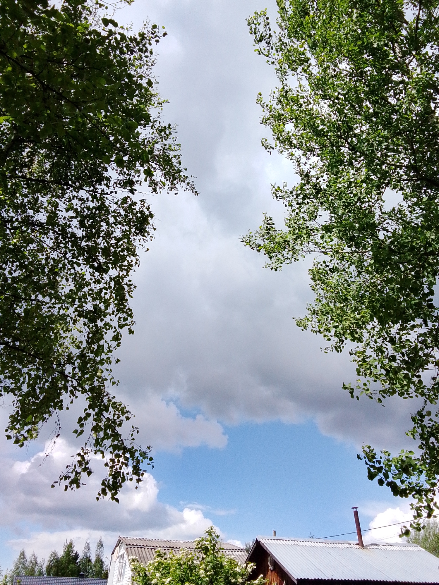 The image depicts a view of the sky through trees, with a glimpse of rooftops below. The sky is partially cloudy, with white and grey clouds. Tree branches with green leaves frame the top of the image. Below, the roofs of buildings are visible. A chimney is present on one of the roofs. Based on the prompt information, this scene is located in the city of 1-Go Maya, Russia.