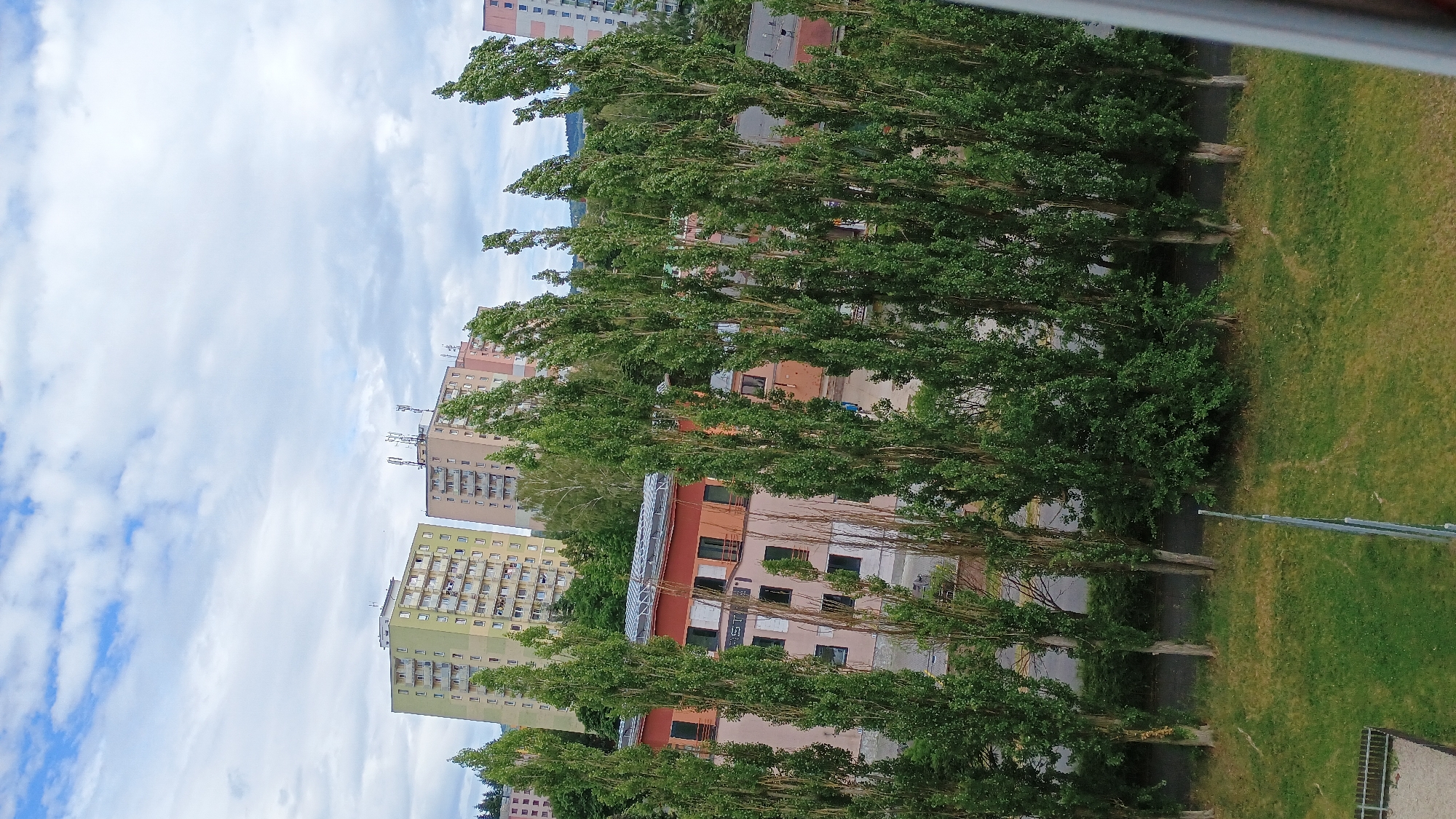 A slightly elevated, eye-level view captures a daytime scene in Sokolov, Czechia. The foreground is dominated by a row of tall, slender green trees with sparse foliage, their trunks visible. Beyond the trees, several multi-story apartment buildings are visible. The building closest to the viewer has a reddish-orange roof and a beige facade with dark windows. Further back, two larger apartment buildings stand out: one is pale yellow and green, and the other is pink and peach-colored, both with numerous balconies and several antennas on their roofs. The sky above is partly cloudy with white clouds against a blue background. A patch of green grass and a metal pole are visible in the lower portion of the image.