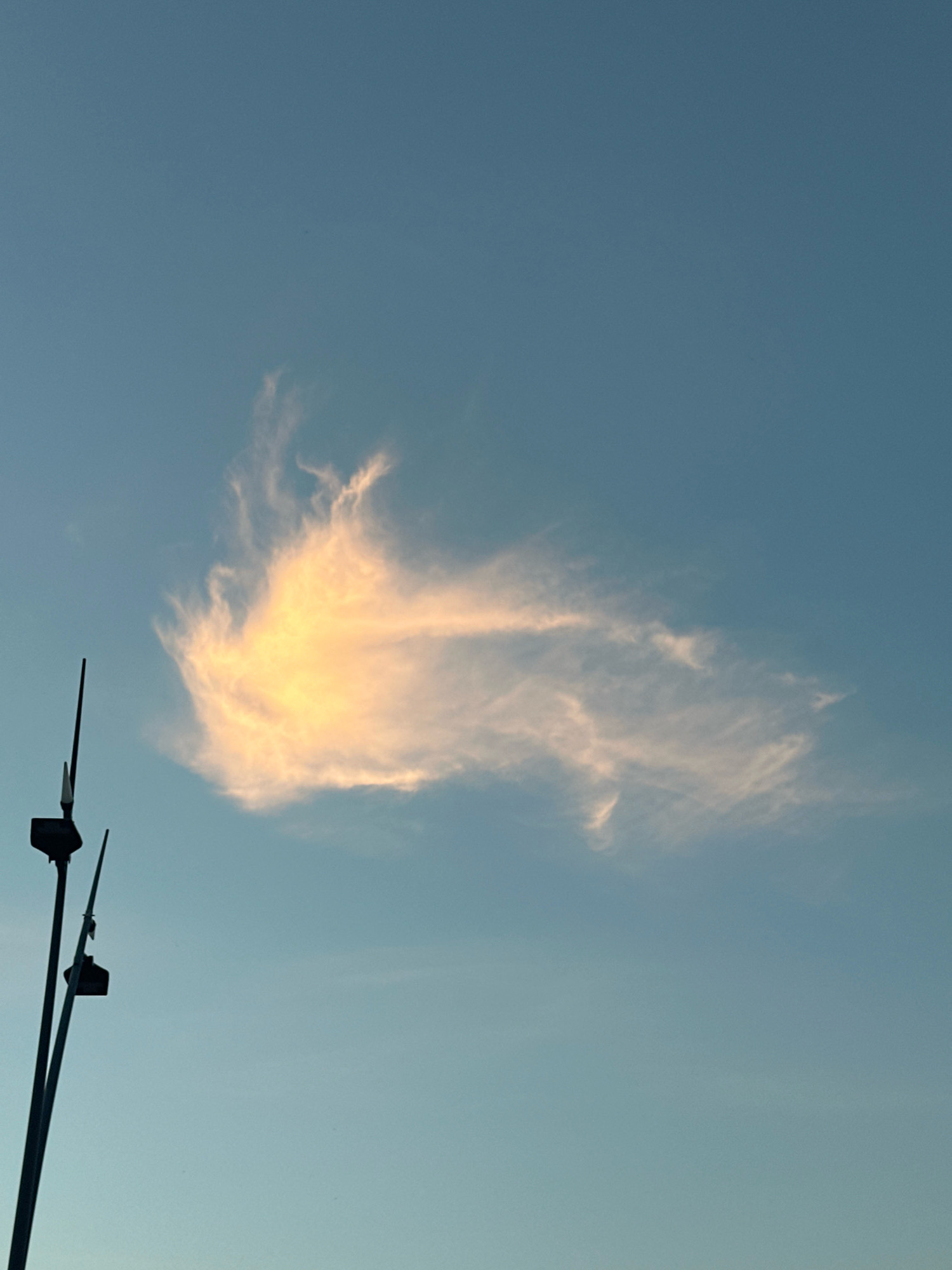 An image of a cloud illuminated by the sun, resembling a dragon or a bird in flight, is captured against a clear, pale blue sky. The cloud is positioned in the upper left quadrant of the frame, with its bright, warm hues contrasting with the cooler tones of the sky. In the lower left corner, two dark, slender poles with light fixtures at their tops are visible, suggesting a man-made structure such as a lamppost or a railing. The overall scene evokes a sense of natural beauty and open space, with no people or discernible activity. The location, Budva, Montenegro, is noted as the setting, implying this might be a view from a waterfront promenade or an elevated viewpoint.