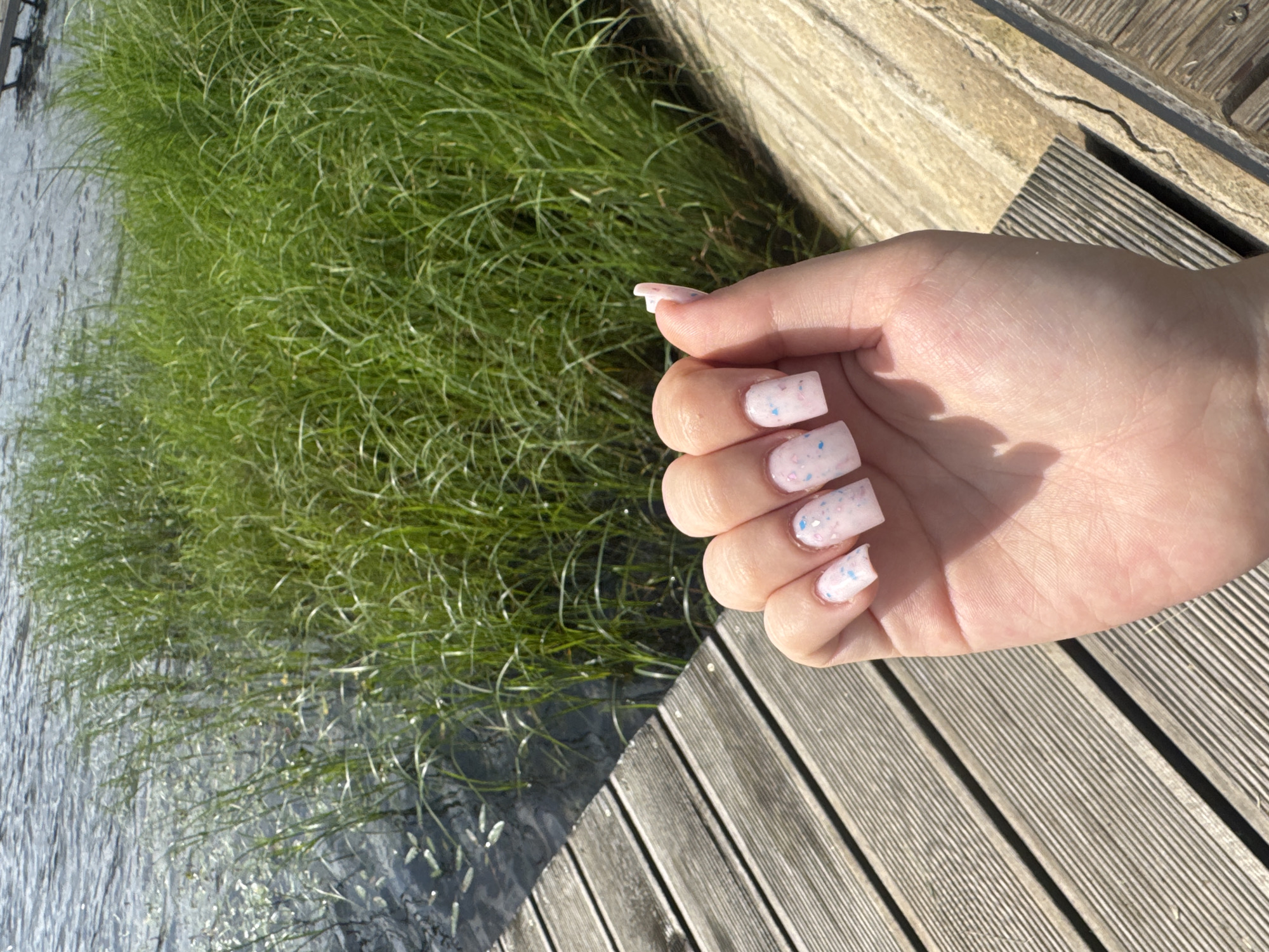 The image shows a person's hand with light pink nail polish featuring small blue and pink flecks. The hand is positioned over a wooden deck. To the left of the hand, there is a body of water with tall green grass growing at its edge. The sun appears to be shining, casting shadows on the deck and creating highlights on the water. The scene suggests an outdoor setting, possibly a park or a waterfront area. The wooden planks of the deck are weathered and laid in parallel lines. The water is calm, with ripples visible on its surface. The grass is lush and appears to be swaying slightly. The lighting and shadows indicate it is likely daytime, possibly late afternoon given the angle of the sun. The overall impression is one of a serene and natural environment. No text is visible in the image.