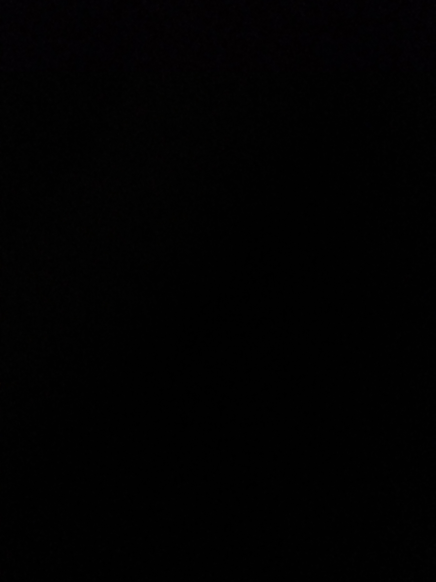 The image is entirely black, making it impossible to discern any subjects, objects, scene, setting, activity, event, notable details, or visible text.