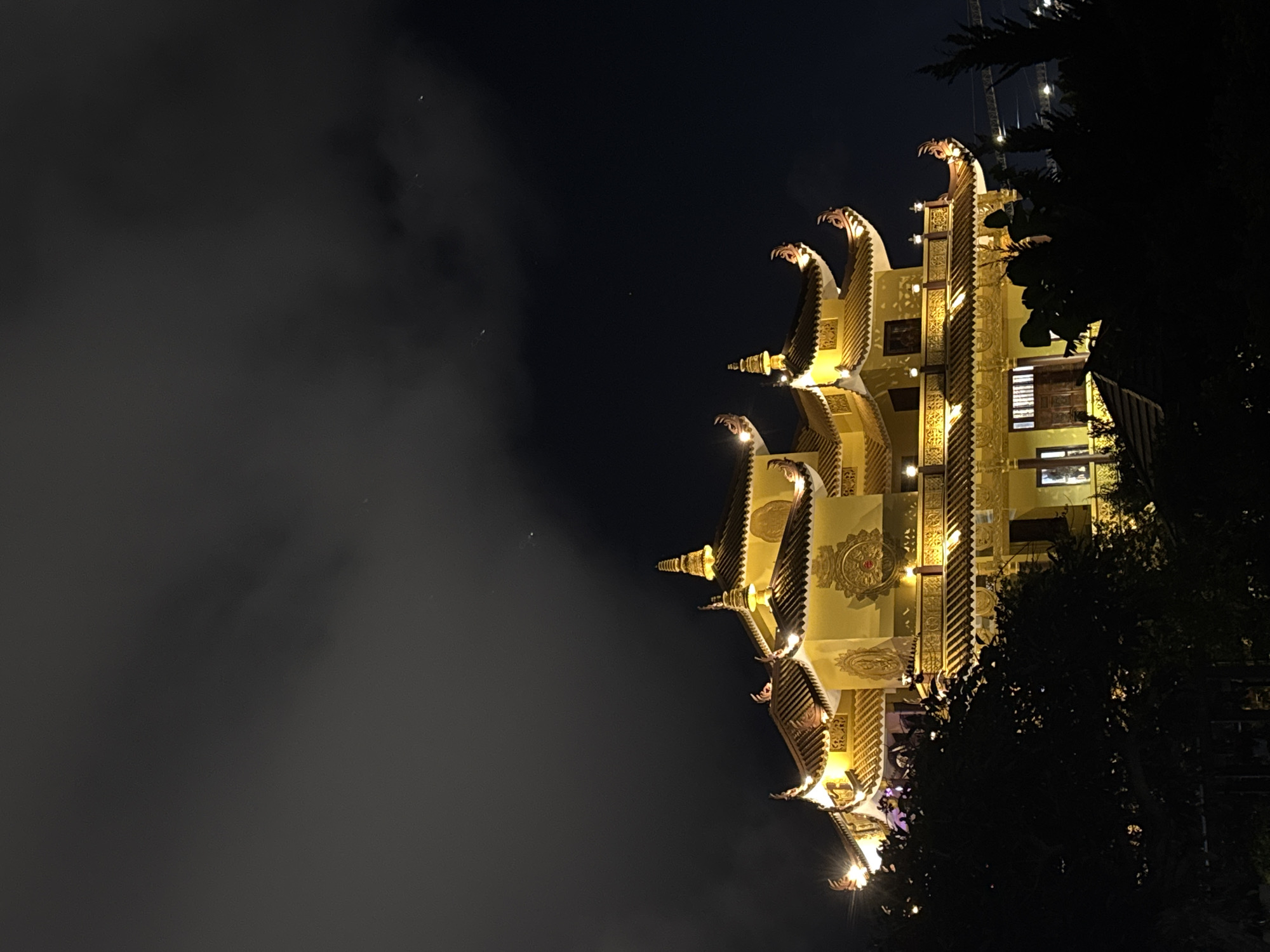 The image depicts a brightly lit, ornate building at night in Da Lat, Vietnam. The structure has multiple tiers adorned with golden decorative elements, including stylized serpent figures at the edges. The lighting emphasizes the building's architectural details. To the left, there's a background of dark, cloudy sky. To the right, the building is partially obscured by dark foliage, suggesting it is located in or near a wooded area. In the very far right, there appears to be some kind of structure with lights and cables, like a powerline, just above the canopy of trees.