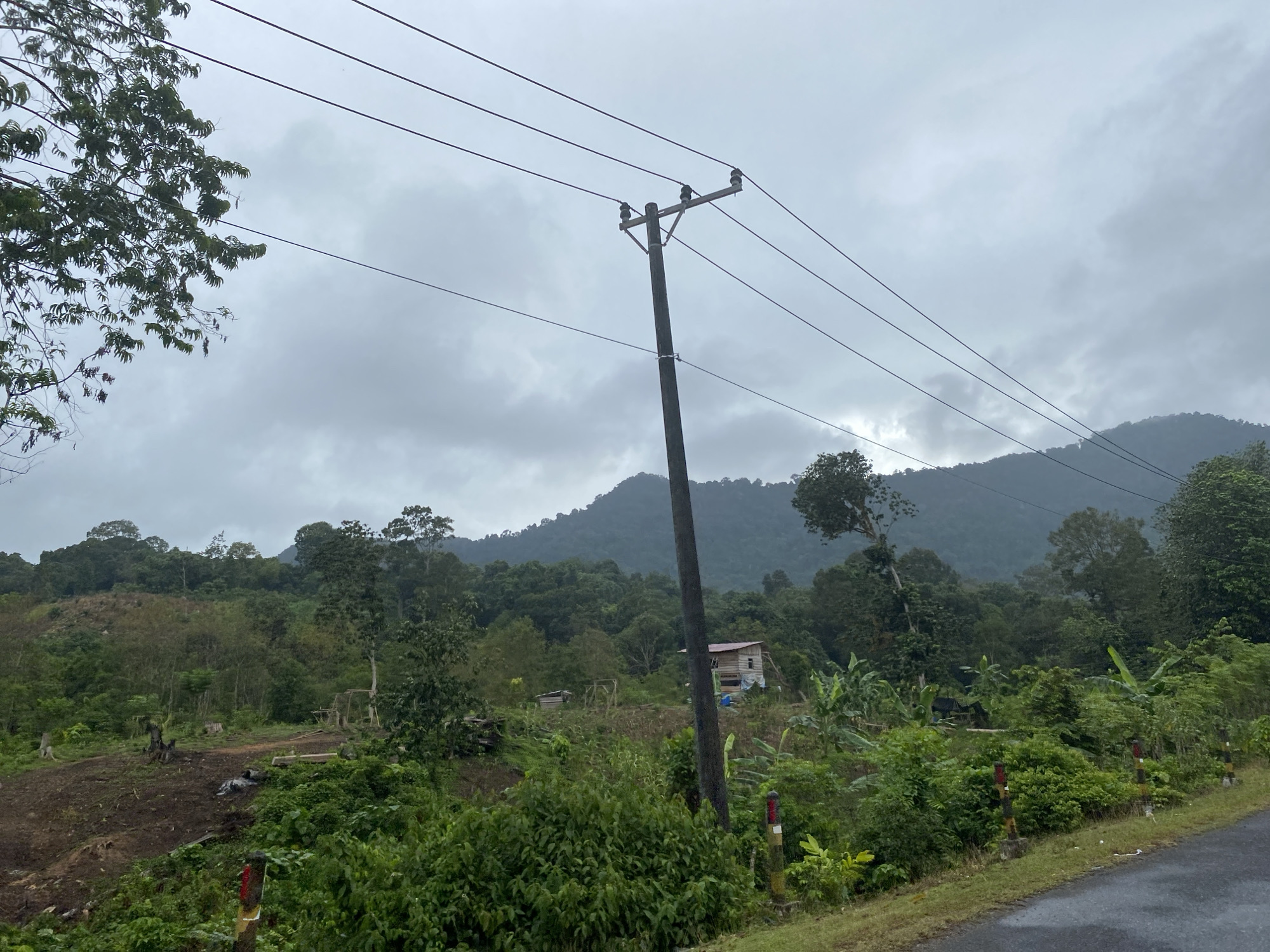The image shows a rural landscape in Meudheun, Indonesia, under an overcast sky. A wooden utility pole with several power lines crosses the frame horizontally. The foreground features lush green vegetation, including bushes and trees, bordering a paved road on the right side. In the mid-ground, there is evidence of recent land clearing on a hillside, with some stumps and exposed earth. Further back, a small wooden structure, possibly a house or shed, is visible among the trees. The background is dominated by a densely forested hill that rises towards the hazy sky. The overall scene depicts a developing rural area integrated with natural terrain.