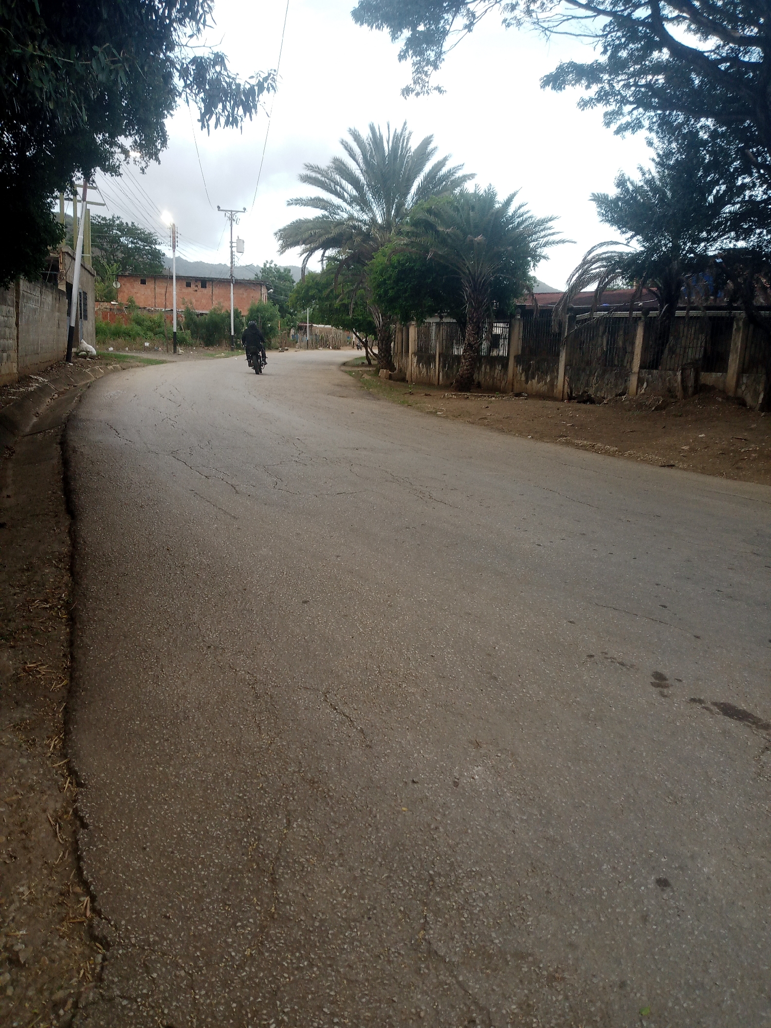 A lone motorcycle rider travels down a cracked asphalt road that curves to the left. The road is bordered on the left by a low concrete wall and a narrow dirt embankment. On the right, a tall, weathered stone wall with decorative metal grates separates the road from a densely vegetated area with several palm trees and other foliage. In the background, several buildings are visible, including a long, brick structure with visible window openings and a smaller building with a tiled roof. Overhead power lines are strung between utility poles. The sky is overcast. This scene is characteristic of a street in Santa Ana, Venezuela, a city known for its tropical climate and residential architecture.