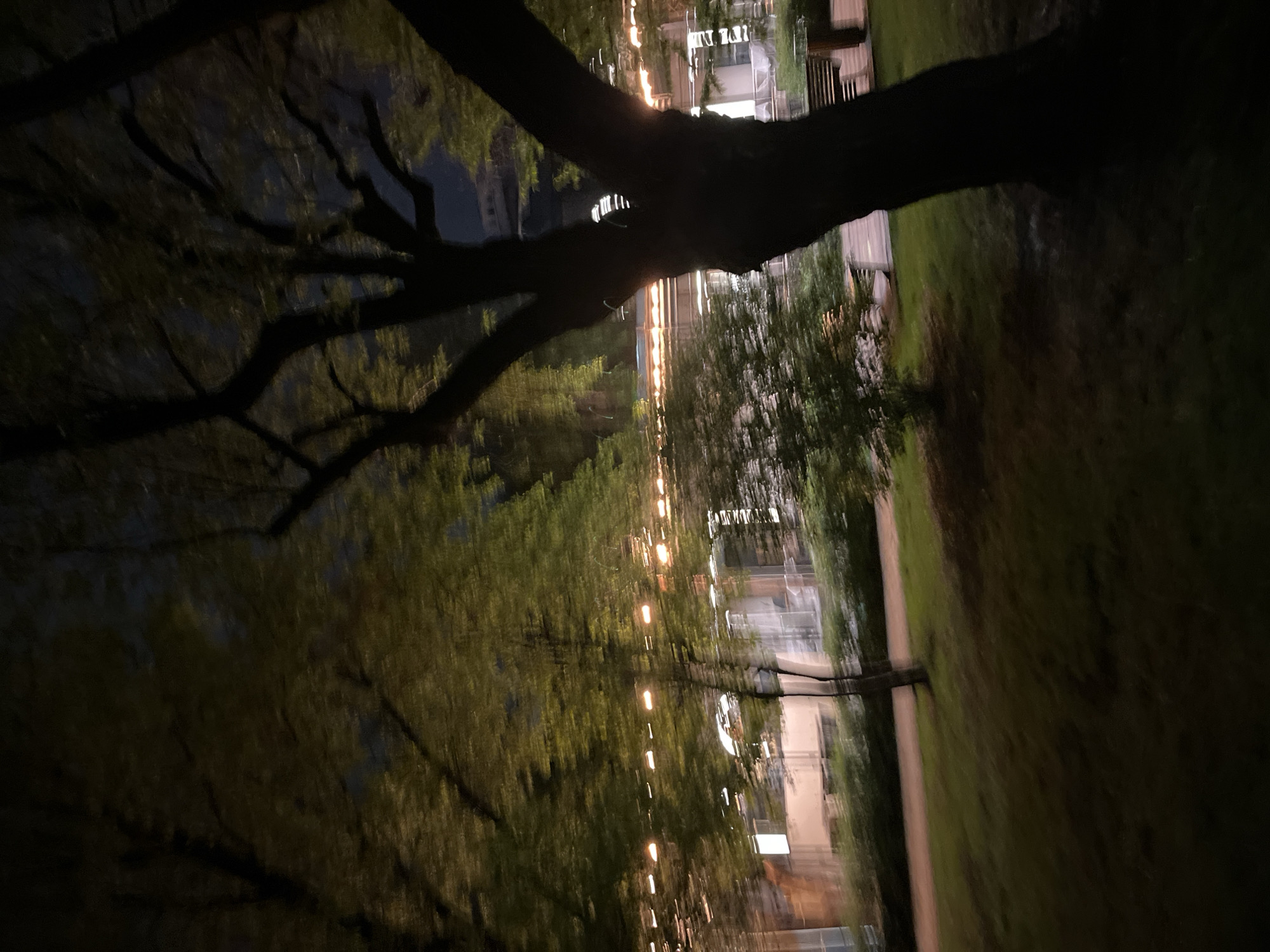 A night view of a park-like setting in Krasnoyarsk, Russia. A dark tree trunk and branches occupy the top of the frame, silhouetted against the illuminated cityscape. Below, there is an out-of-focus view of buildings and trees, with a row of lights along a path or road. The overall scene is dark, with the light sources providing the only illumination.