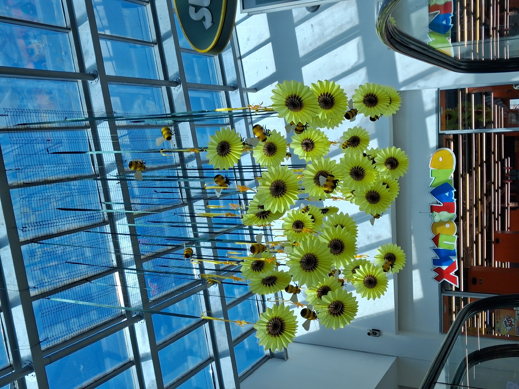 The image shows an interior space with a grid-patterned ceiling made of glass panels, visible through a metal frame. Suspended from the ceiling are decorations consisting of yellow, paper-like sunflowers, each accompanied by small bee figures. These decorations appear to be hung by thin yellow ribbons. The sunflowers vary in size and are clustered together.
To the right of the sunflowers, there is an escalator and a vertically oriented sign with the name "ANTOSHKA" written in large, colorful letters. The walls are white and reflect light. The location is inside the Antoshka store.