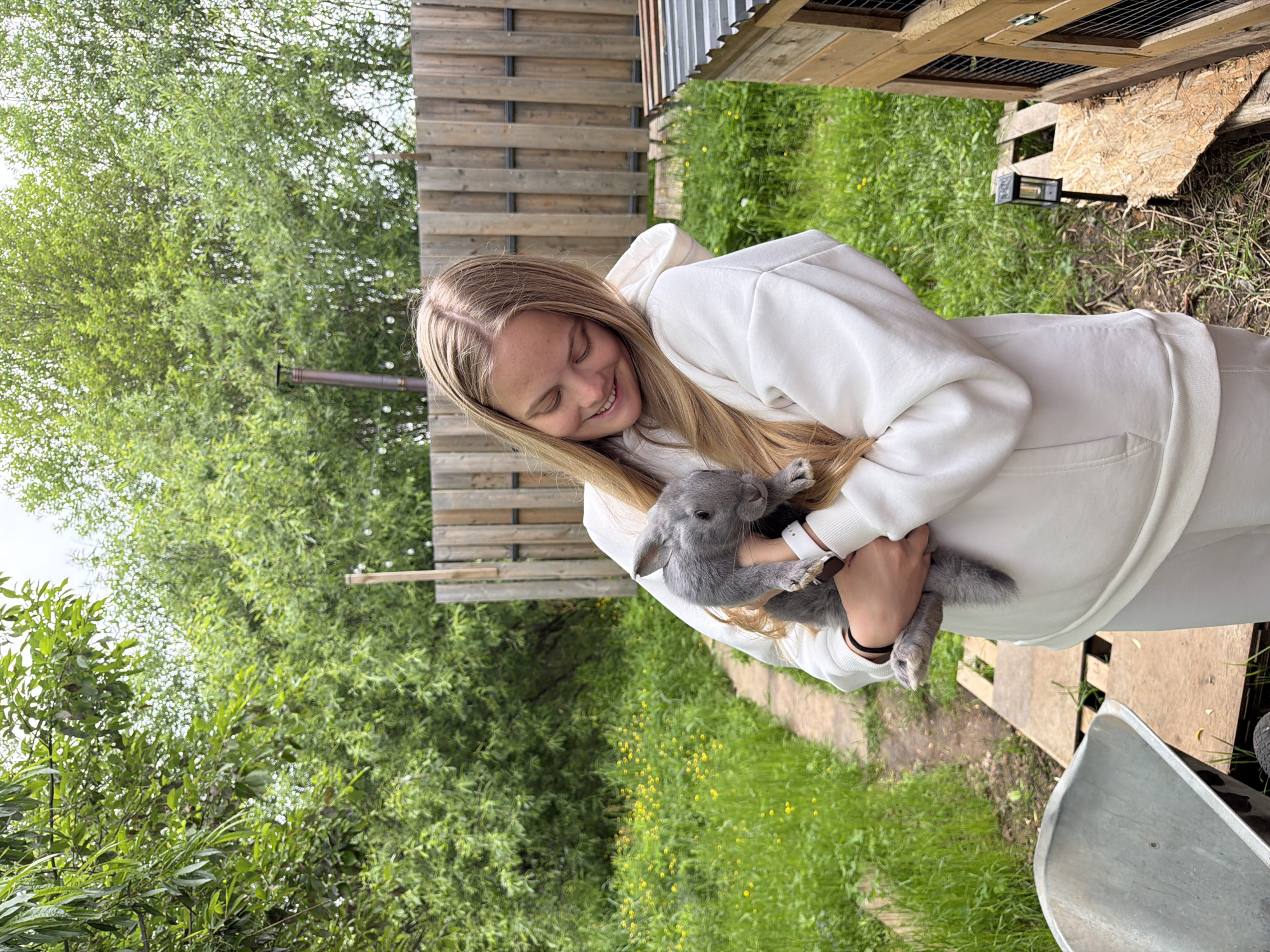 A young woman with long, light brown hair, wearing a white hooded sweatshirt and matching white pants, is captured outdoors, smiling broadly with her eyes closed. She holds a small, fluffy grey rabbit in her arms, looking down at it with evident affection. A white smartwatch is visible on her left wrist, and a black bracelet on her right. The rabbit appears calm and nestled against her.
The scene unfolds in a lush green environment, consistent with a rural or semi-rural setting in Vozhoiskii, Russia. The background is filled with various green trees and bushes, suggesting a daytime shot under an overcast sky. To the right, a weathered wooden fence or a series of wooden structures, possibly animal enclosures, stands against the natural backdrop. A metal gutter pipe runs horizontally from one of these structures. The ground is carpeted with green grass interspersed with small yellow flowers, and a narrow dirt or gravel path is visible winding through the greenery. Partially visible in the lower right corner is a silver-colored metal object, resembling part of a wheelbarrow, next to a small black solar-powered light device on the ground. No text is visible in the image.