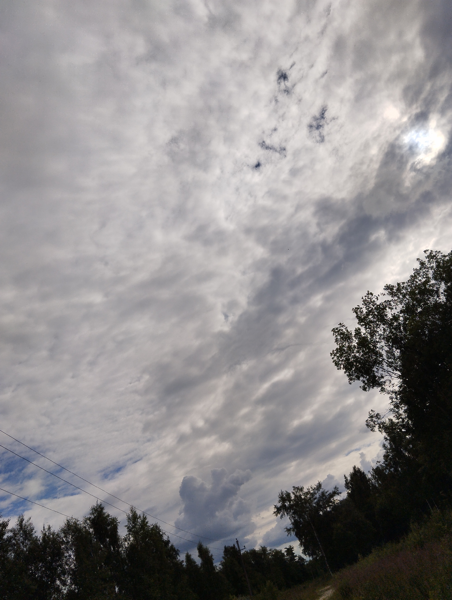 The image captures an overcast sky with scattered patches of blue and sunlight breaking through the clouds. A line of dark green trees forms a silhouette across the lower portion of the frame, with a dirt path visible amidst the foliage on the right. Overhead, power lines stretch horizontally across the sky. The scene appears to be an outdoor natural setting, potentially on the outskirts of Kingisepp, Russia, given the atmospheric conditions and vegetation. There are no people or discernible actions in the photograph.