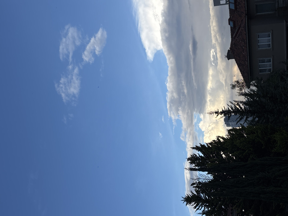 The image captures an urban or suburban landscape under a partly cloudy sky. The upper two-thirds of the frame consists of a clear blue sky, featuring a few wispy white clouds and two small, dark, unidentifiable airborne objects, possibly birds or distant aircraft. Below this, a dense layer of grey and white cumulus clouds spans the horizon, with some areas appearing brightly lit. In the foreground and midground, a line of tall, dark green coniferous trees, likely cypresses, extends across the lower portion of the image, partially obscuring the background structures. Behind the trees, towards the center-left, a modern, light-colored skyscraper with multiple stories is visible. To the lower right, a segment of a residential building is present, characterized by a reddish-brown tiled gabled roof, light-toned walls, and at least two rectangular windows. A chimney and a small antenna are situated on the roof of this residence. No people are visible. The scene is set in the city of Unknown, Unknown.