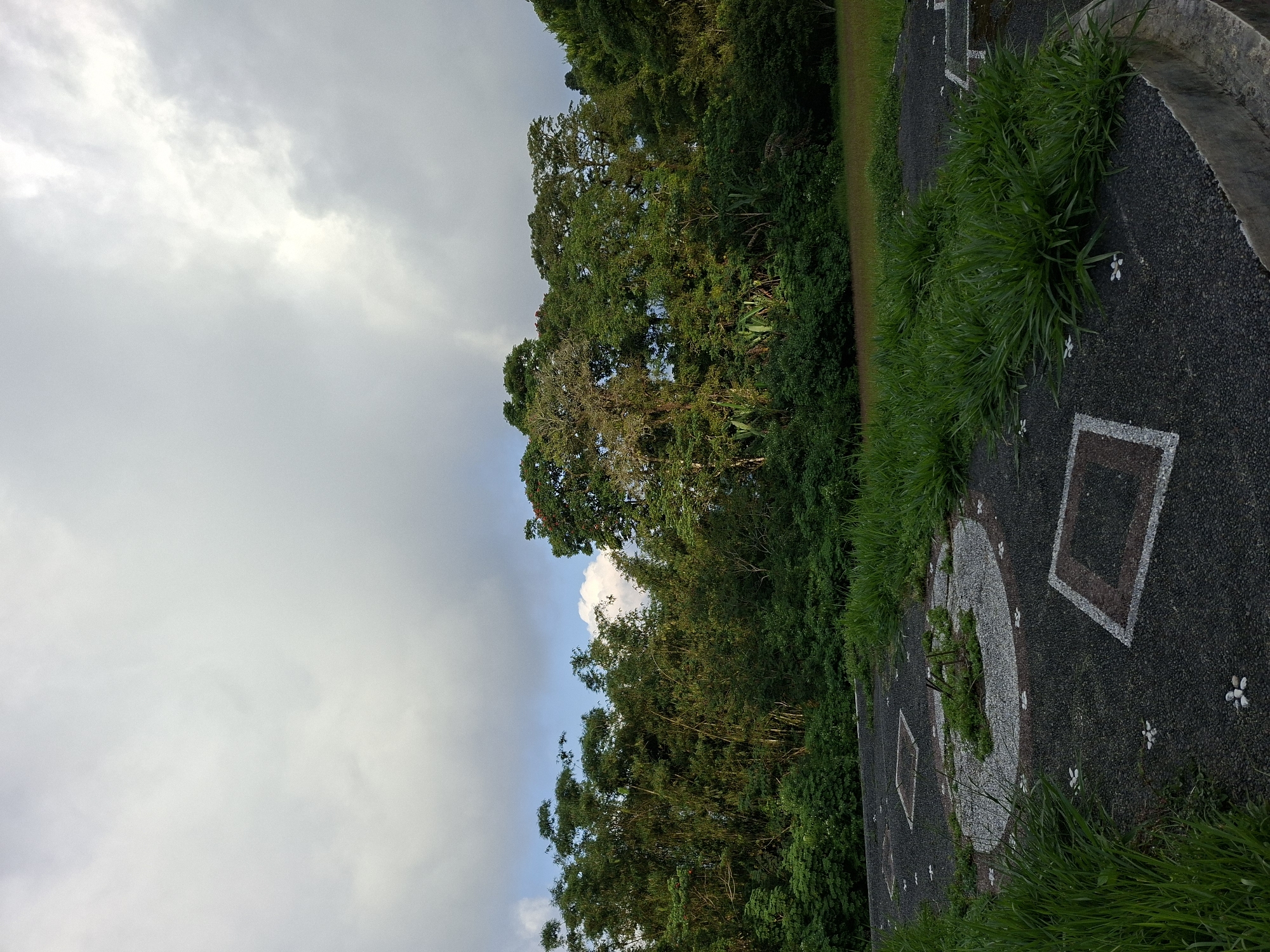 The image shows an area in Baturiti, Indonesia with lush green trees bordering a gray paved pathway. The sky is cloudy. The pathway has geometric shapes and a circular design, some of which are overgrown with grass. There are small white flowers scattered on the pavement.