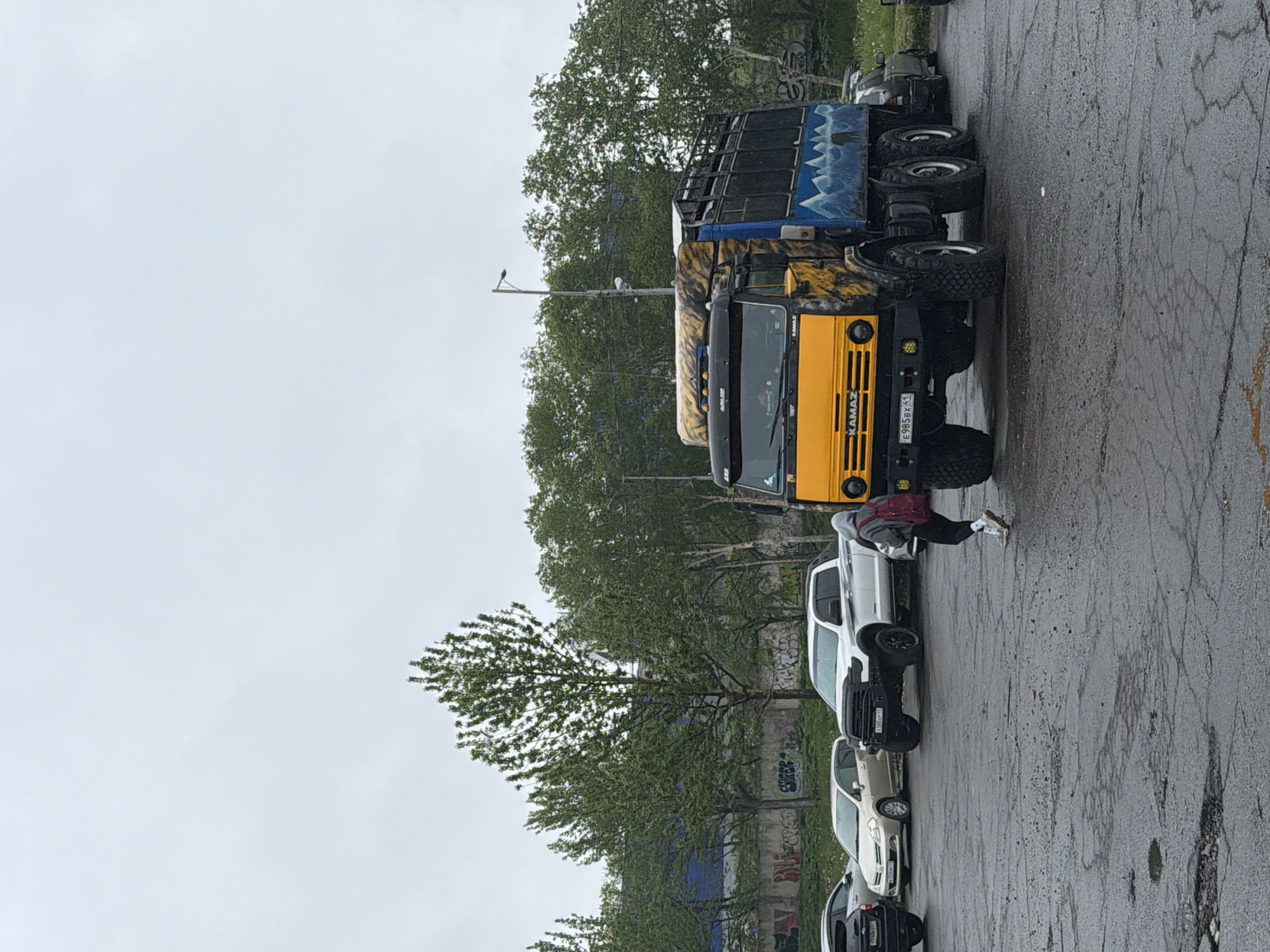 A yellow and black Kamaz truck is parked on a wet, cracked asphalt lot. The truck is decorated with tiger stripes on its cab and a mural of a mountain landscape with a bear on its trailer. The truck has large, rugged tires and appears to be a modified version of a standard Kamaz model. A person wearing a grey hoodie and black pants with a red backpack is walking away from the truck towards the left side of the image. Several other vehicles, including a white pickup truck and a silver sedan, are parked in the background. Trees and a building with a blue facade are visible behind the vehicles. The sky is overcast, indicating a cloudy day. The scene is likely located in Petropavlovsk-Kamchatsky, Russia, given the style of the Kamaz truck and the overall urban and natural environment.