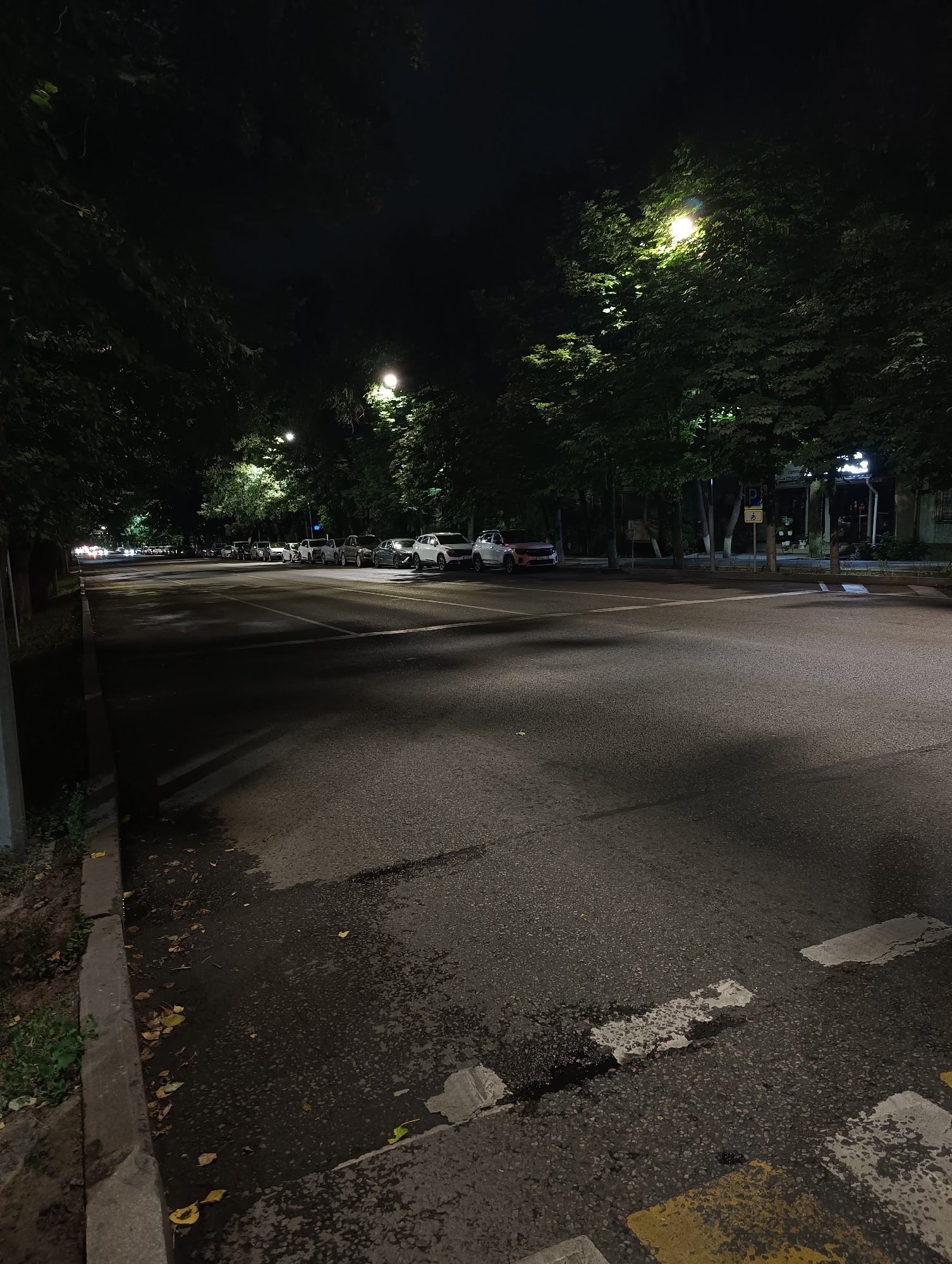 This is a night-time photograph taken on a street in Almaty, Kazakhstan. The image depicts a wide asphalt road with parked cars lining the right side. Tall trees with dense foliage are visible on both sides of the road, casting shadows. Streetlights illuminate parts of the scene, creating pools of light and shadow on the road and the trees. The road surface appears wet in places, with some fallen leaves scattered along the curb on the left side of the image. A pedestrian crossing with white and yellow markings is visible in the foreground. The overall scene suggests a quiet urban street at night, with no people or active movement visible.