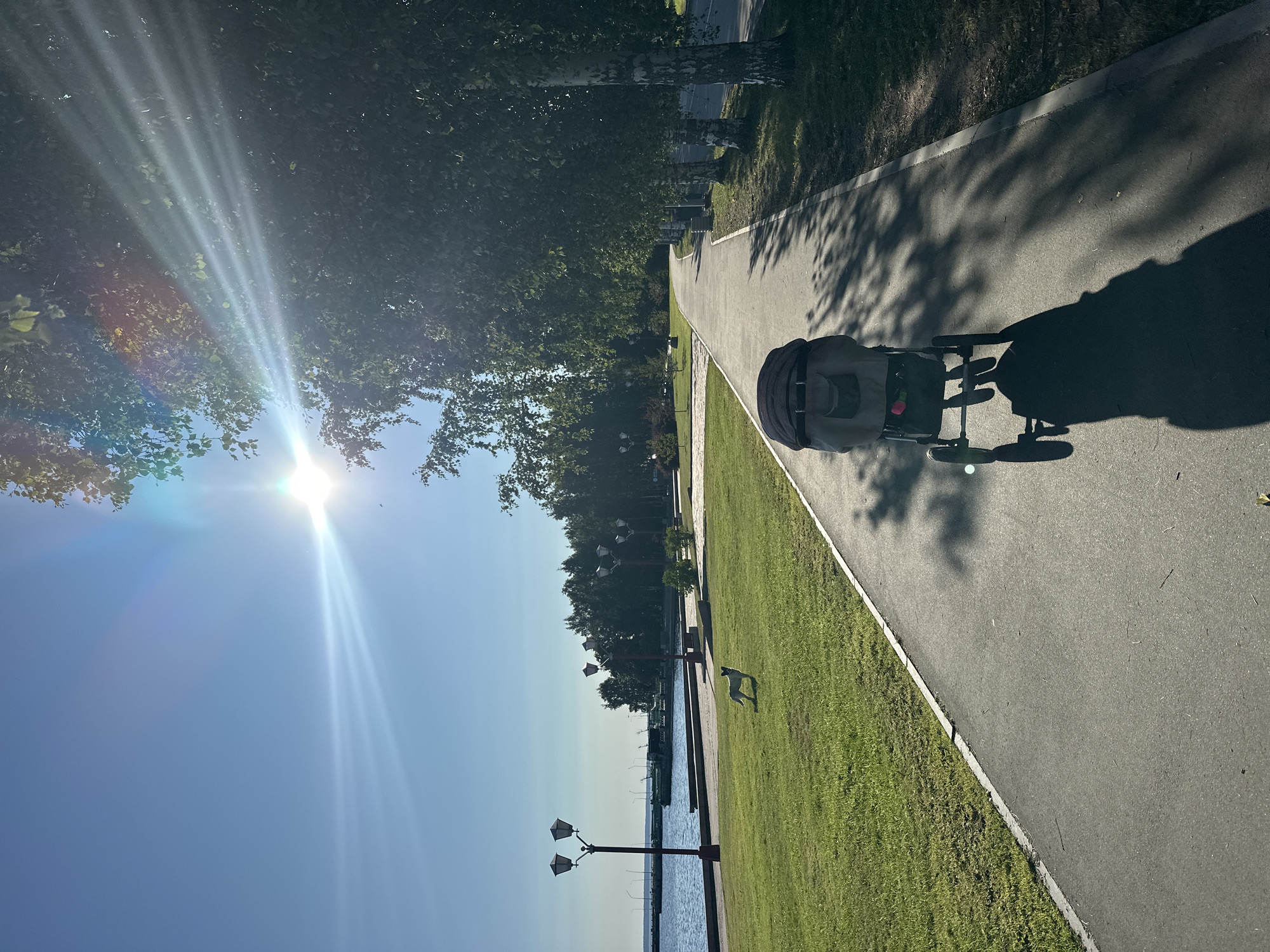 A paved pathway curves through a park beside a body of water under a bright, sunny sky. A stroller is positioned in the foreground, casting a long shadow on the path. A small dog with light-colored fur stands on the green grass to the left of the pathway. In the distance, trees line the water's edge, and streetlights are visible along the waterfront. The sun is high in the sky, creating lens flare and dappled shadows from the trees lining the right side of the path. The location is the Onega embankment in Petrozavodsk, Russia.