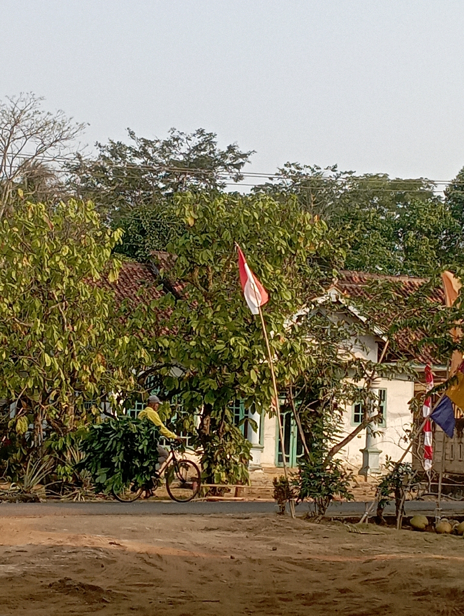 The image depicts a rural scene in Sukadana Timur, Indonesia. A person wearing a yellow shirt rides a bicycle laden with green foliage along a dirt road. The road is in the foreground, with the vegetation in front of the bicycle appearing as a dense bush. Behind the vegetation, a white house with green-trimmed windows and a red tile roof is partially visible, surrounded by lush green trees. An Indonesian flag, red and white, flies from a wooden pole in front of the house. In the background, more trees and vegetation are evident, with a pale sky overhead. The overall impression is a tranquil, everyday moment in a residential area.
