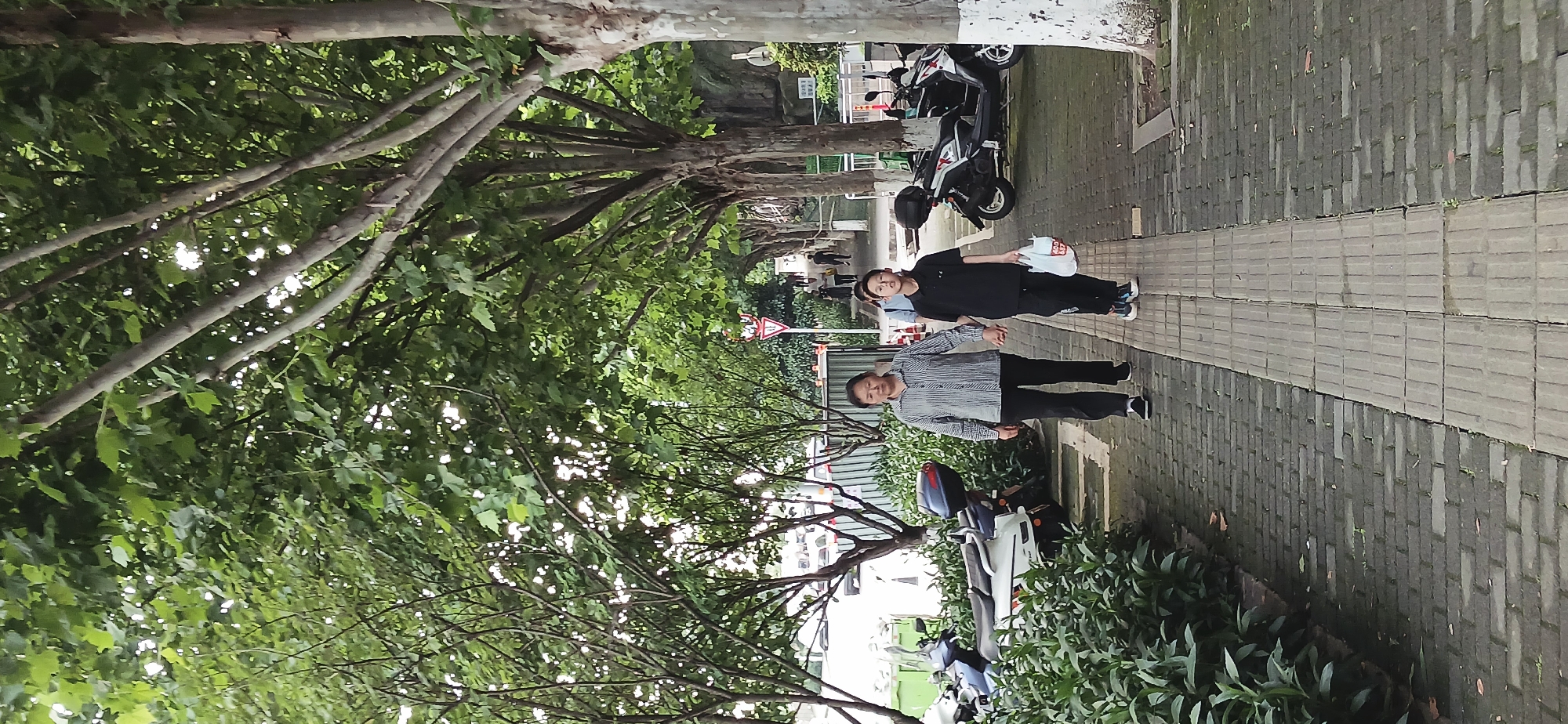 Two people walk on a sidewalk lined with trees in Jiulongpo District, China. The sidewalk is paved with rectangular grey stones, and a white line runs down the center. A woman in a striped shirt and black pants walks slightly ahead of a younger person in all black. Several scooters are parked along the sidewalk, and a street sign is visible further down the path. The trees above cast shadows on the sidewalk.